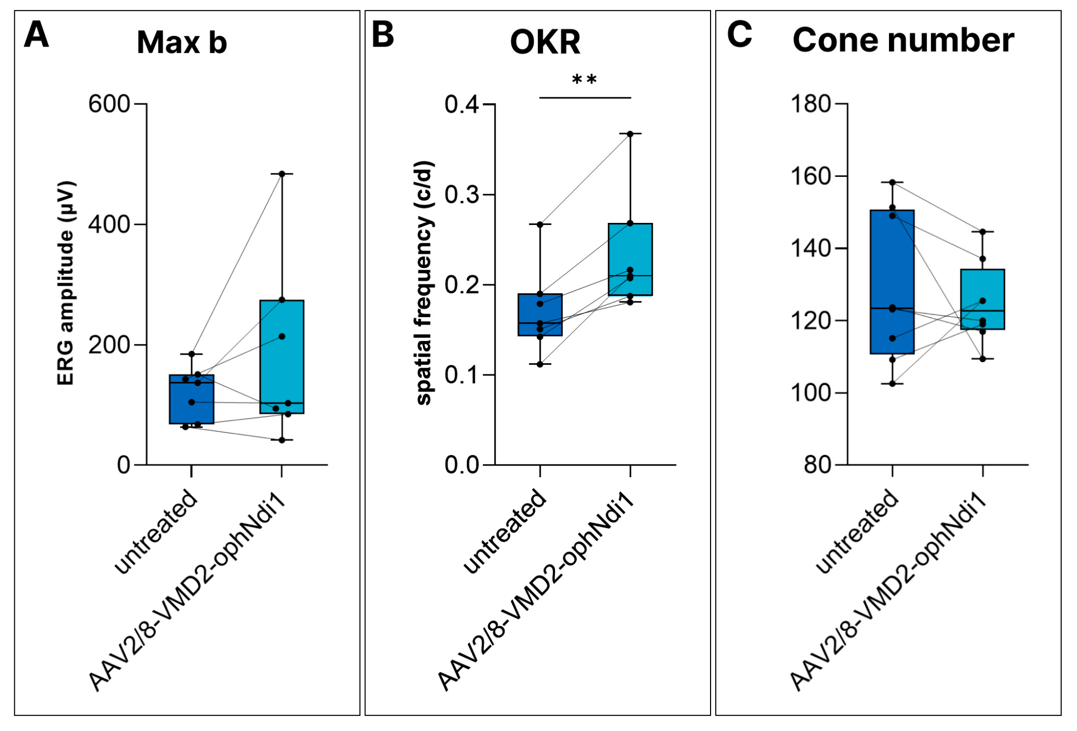 Ijms 24 03847 g004 Ijms 24 03847 g004