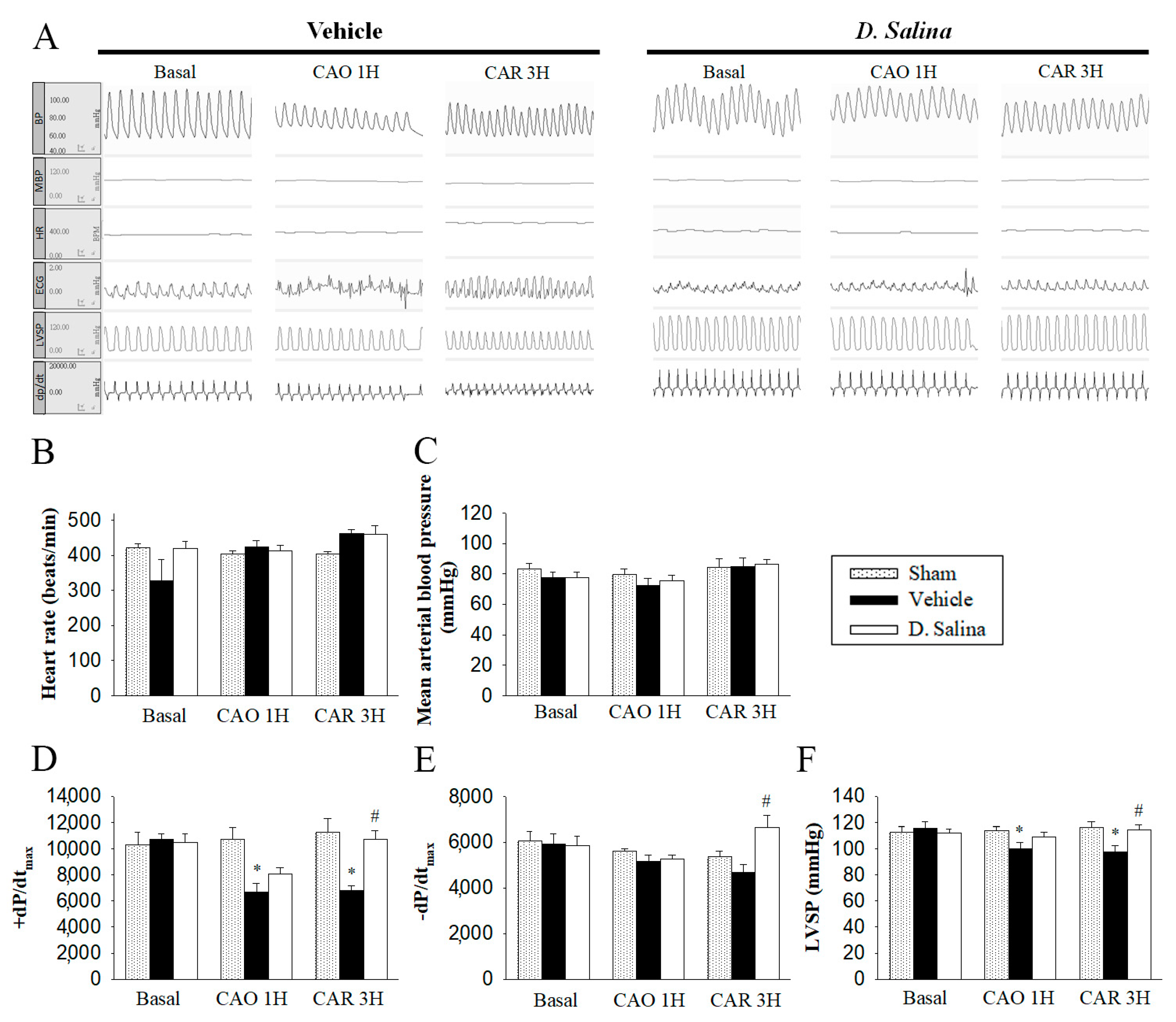 Ijms 24 03871 g002 Ijms 24 03871 g002