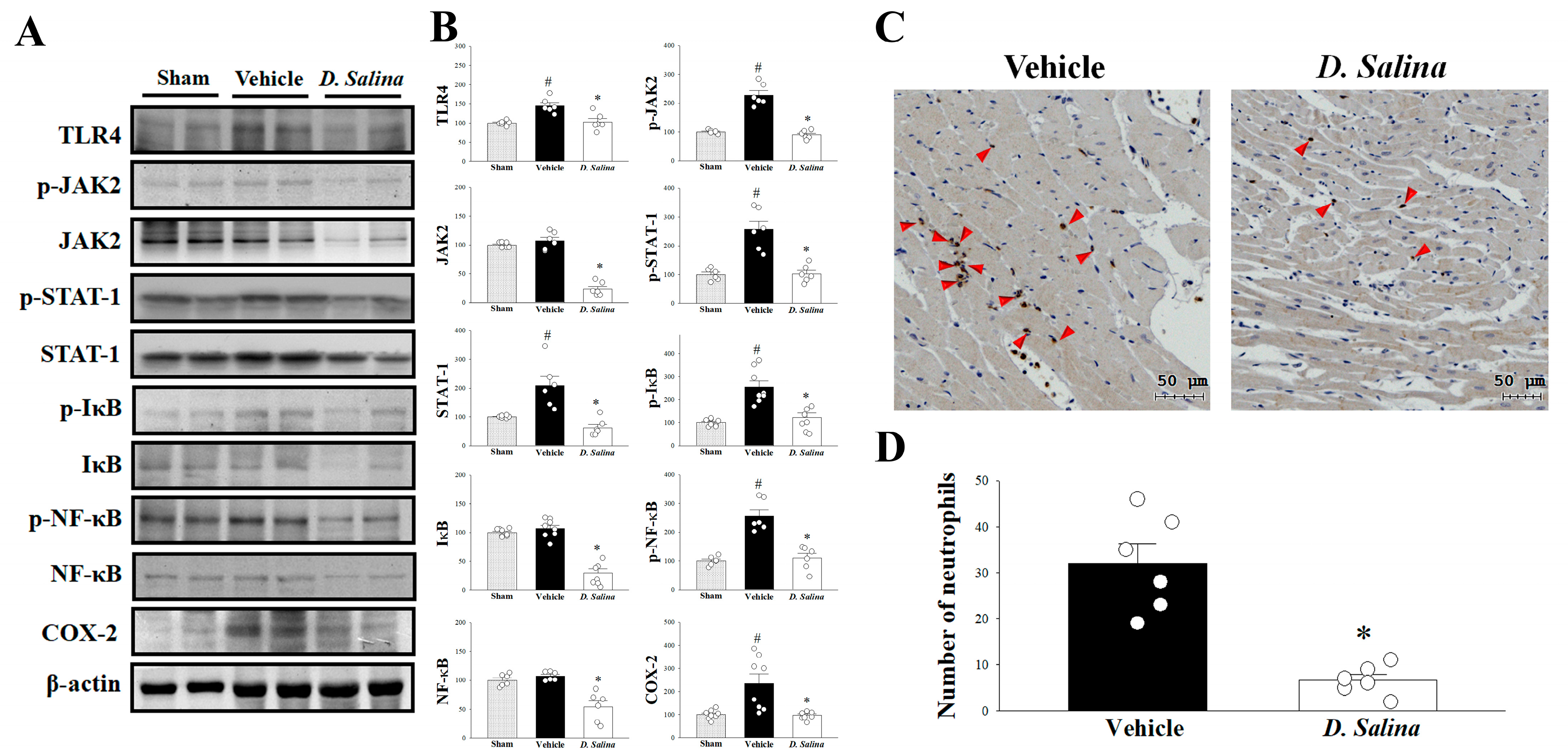 Ijms 24 03871 g003 Ijms 24 03871 g003