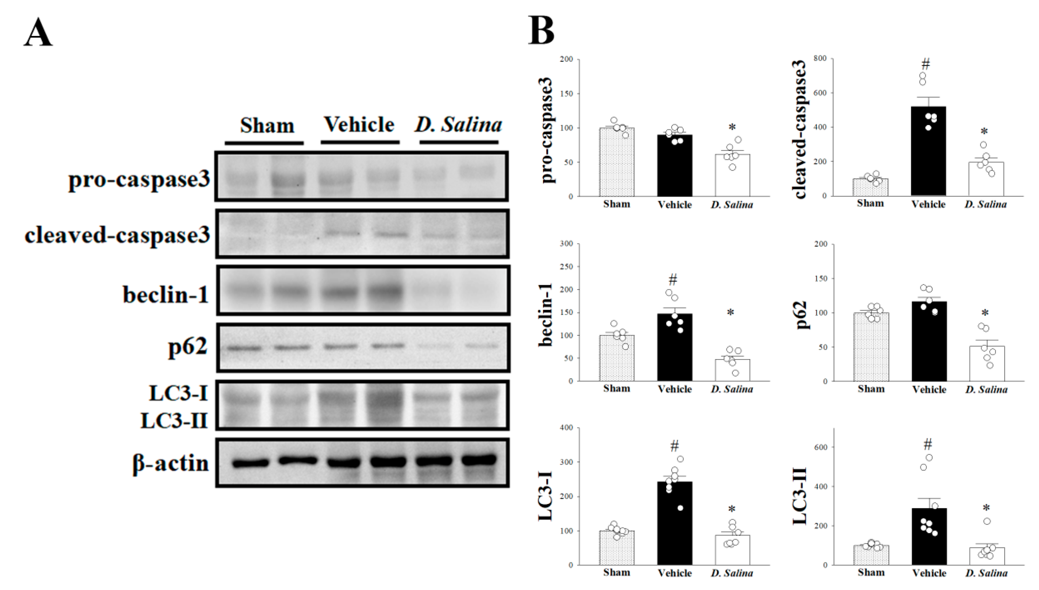 Ijms 24 03871 g004 Ijms 24 03871 g004
