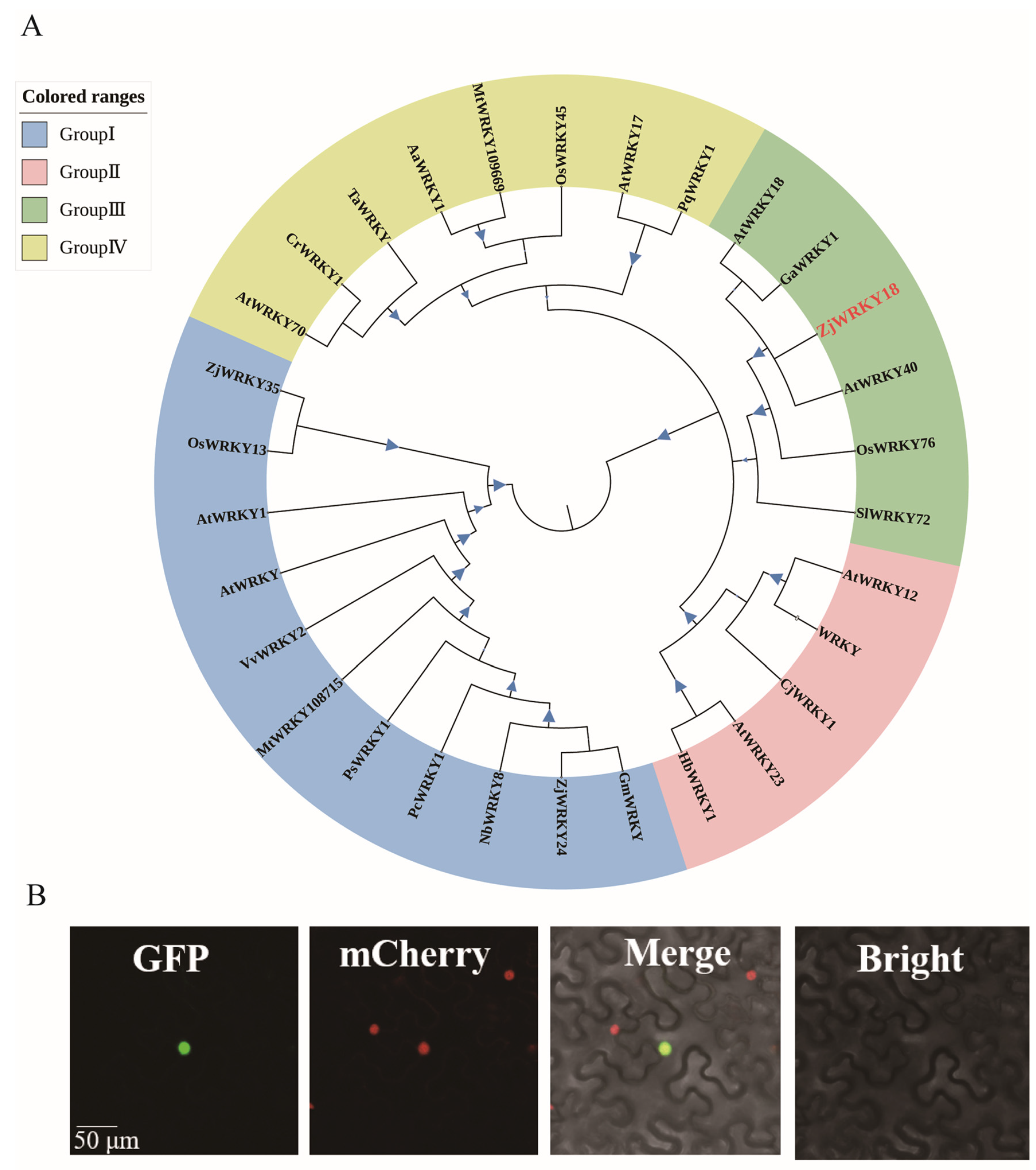 Ijms 24 03899 g002 Ijms 24 03899 g002