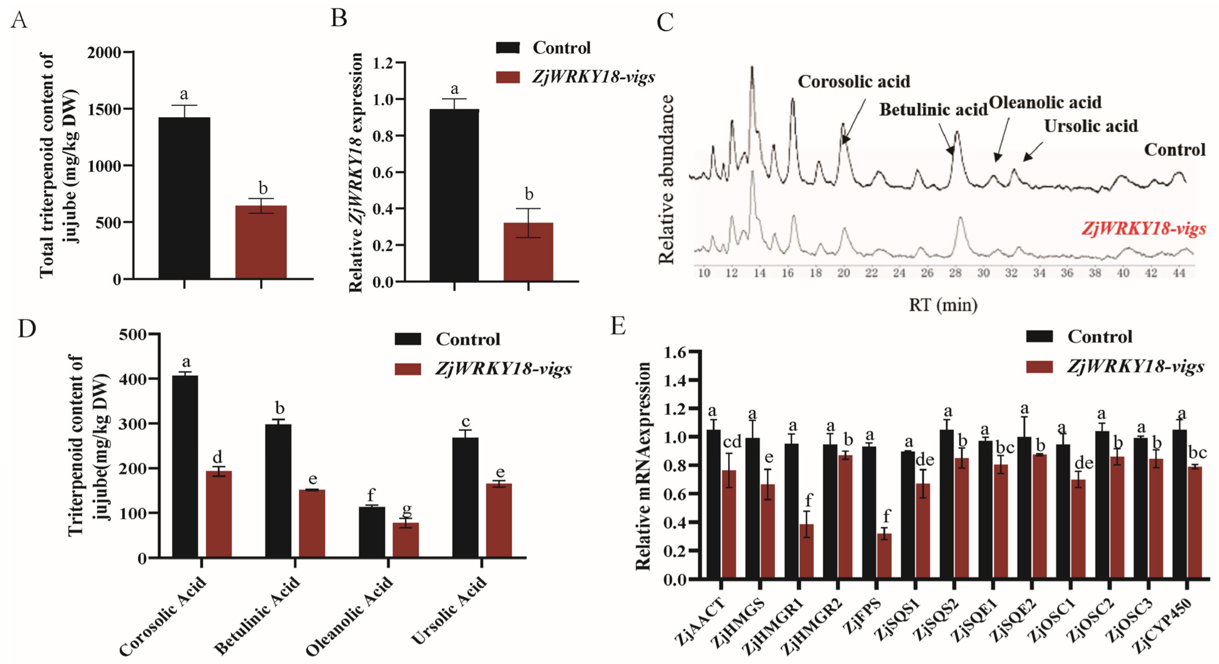 Ijms 24 03899 g003 Ijms 24 03899 g003
