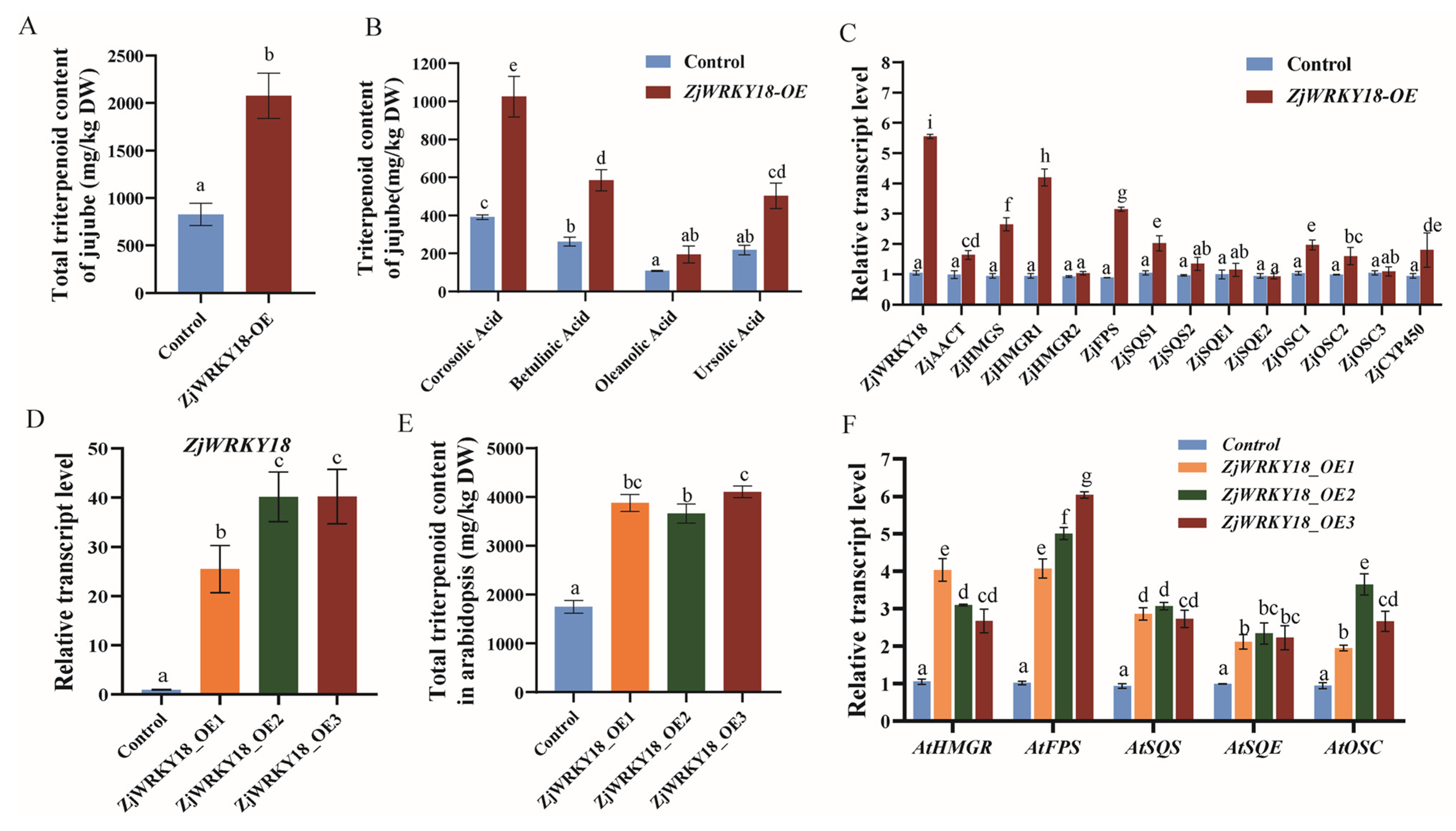 Ijms 24 03899 g004 Ijms 24 03899 g004