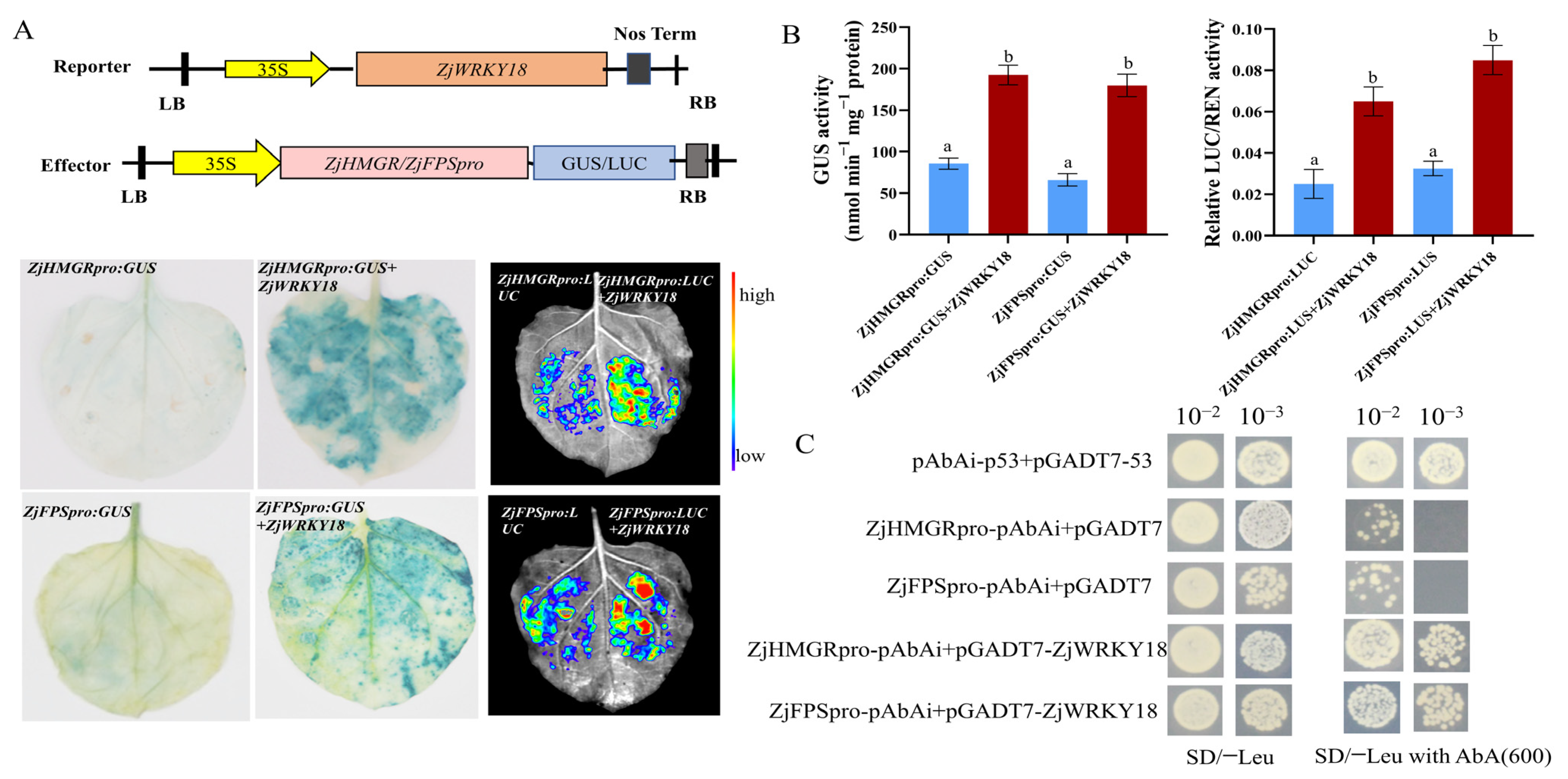 Ijms 24 03899 g005 Ijms 24 03899 g005
