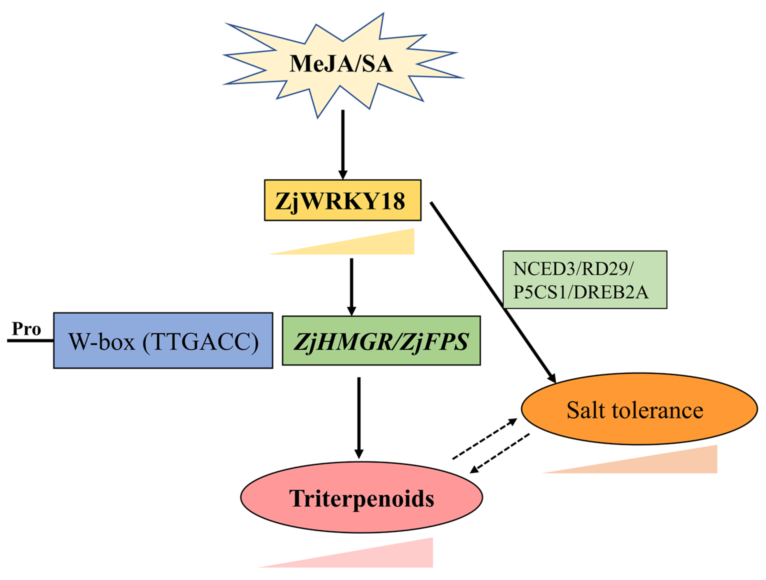 Ijms 24 03899 g007 Ijms 24 03899 g007