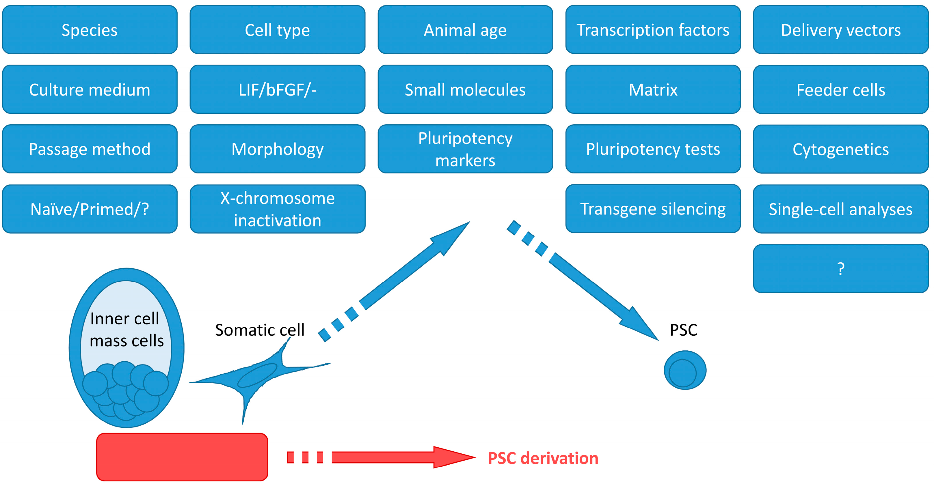 Ijms 24 03905 g001 Ijms 24 03905 g001