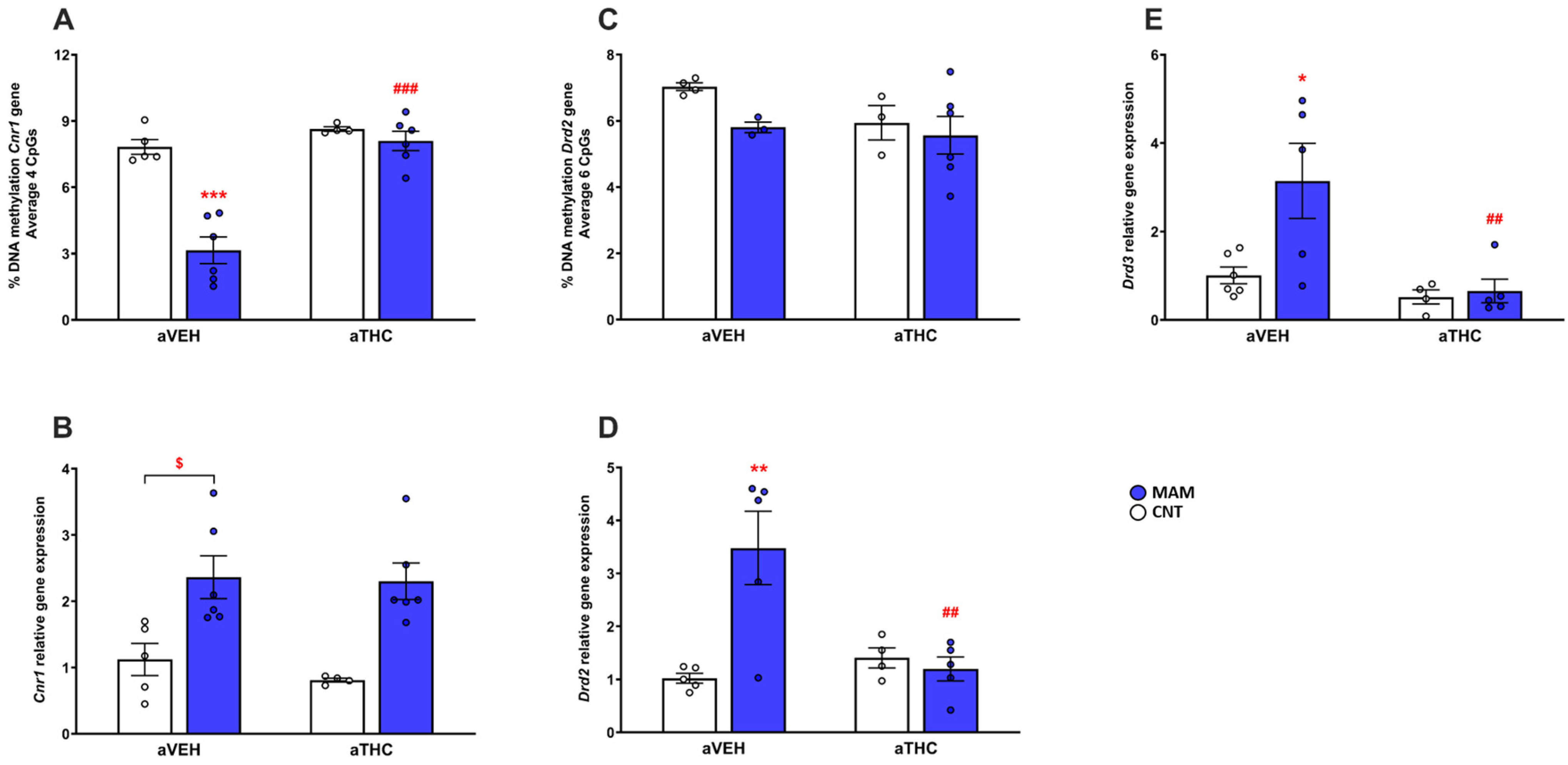 IJMS | Free Full-Text | The Effects of Peripubertal THC Exposure in  Neurodevelopmental Rat Models of Psychopathology