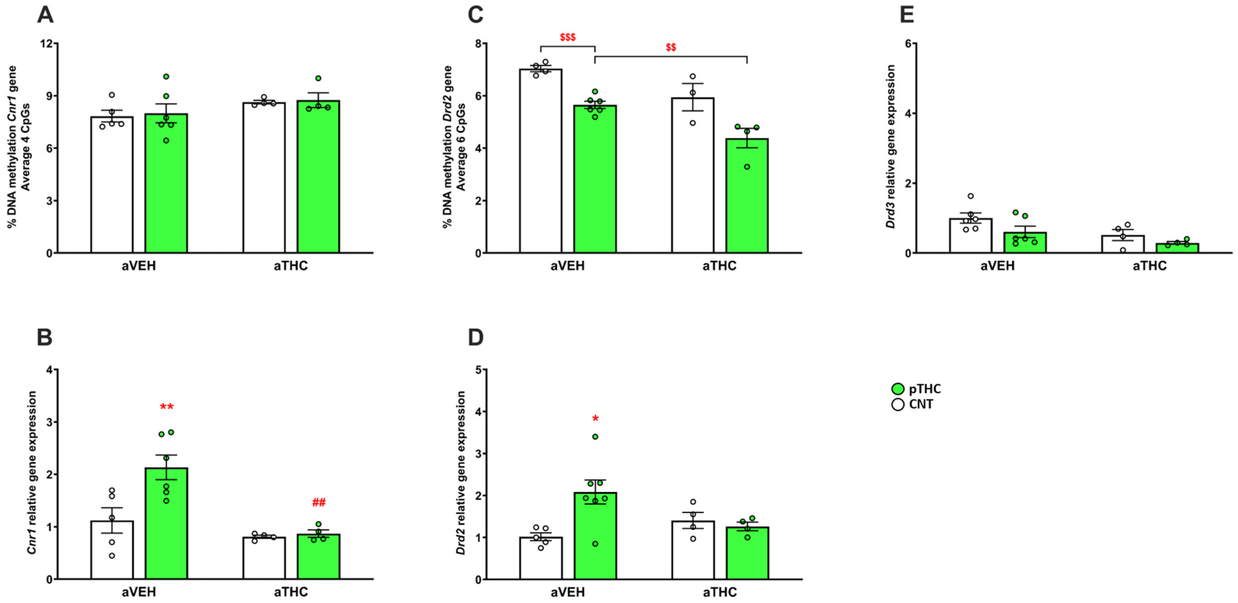 IJMS | Free Full-Text | The Effects of Peripubertal THC Exposure in  Neurodevelopmental Rat Models of Psychopathology