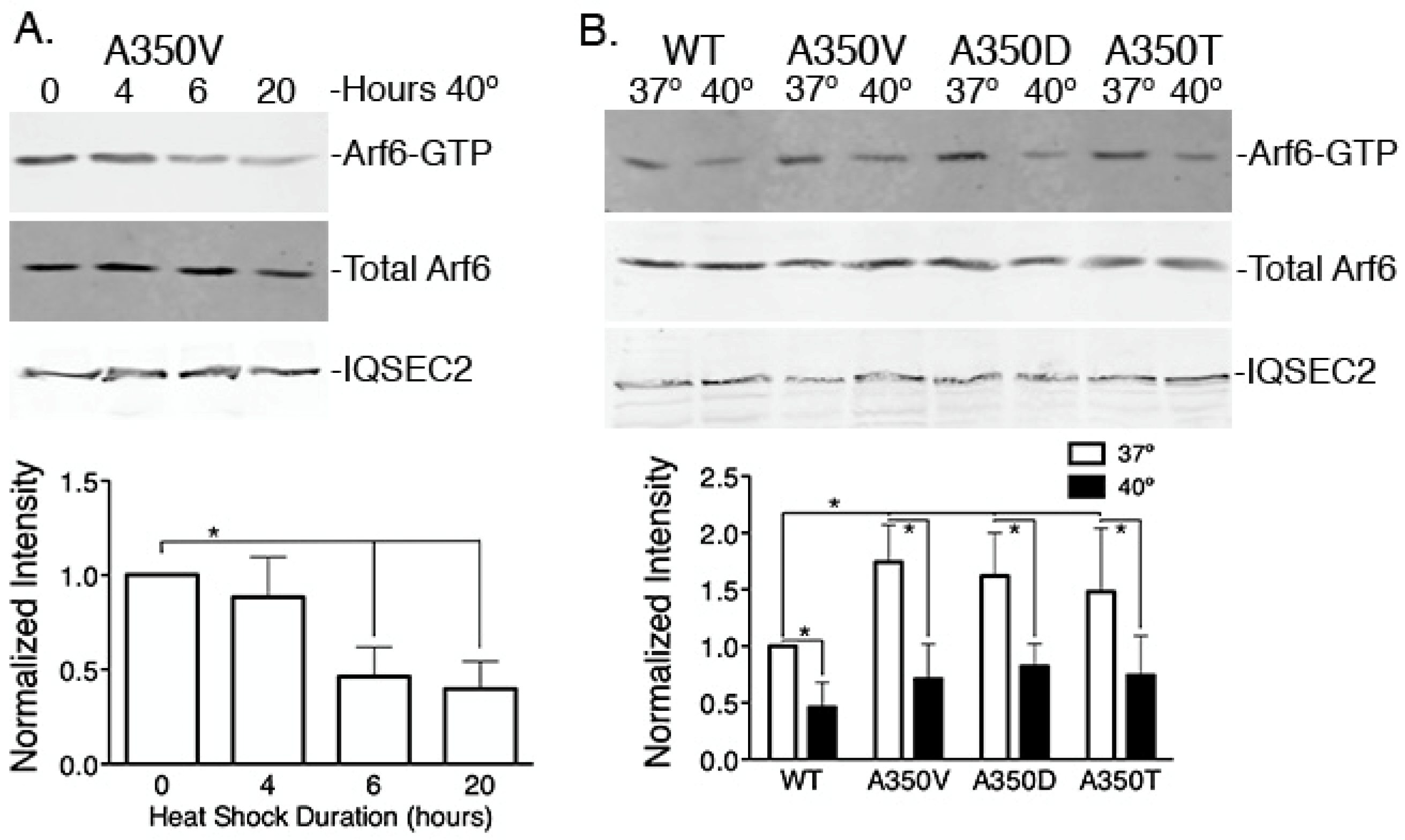 Ijms 24 03924 g003 Ijms 24 03924 g003