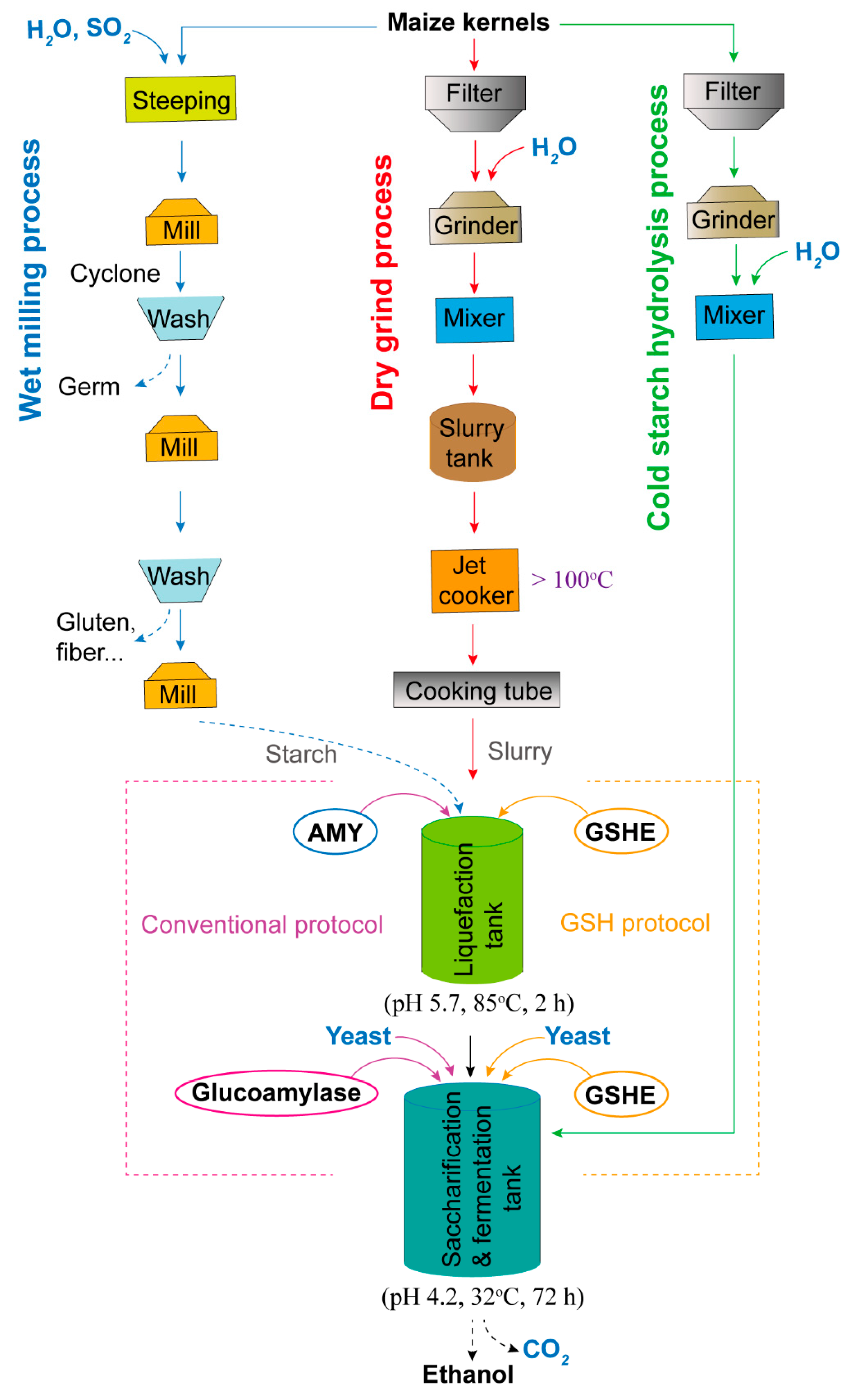 IJMS | Free Full-Text | Genetic Engineering of Starch Biosynthesis 