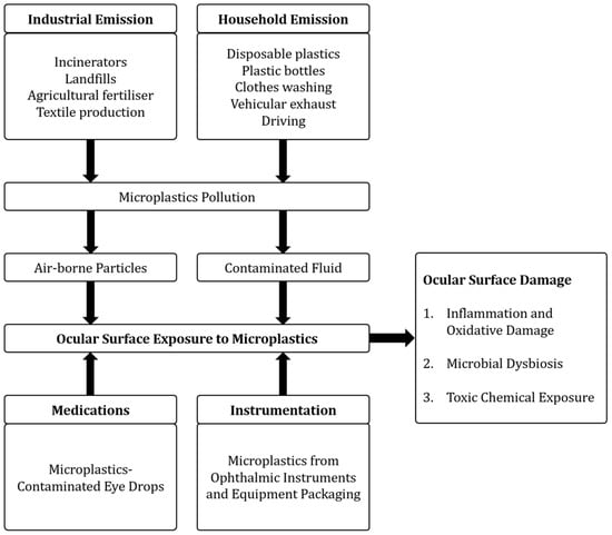 https://www.mdpi.com/ijms/ijms-24-03928/article_deploy/html/images/ijms-24-03928-g001-550.jpg