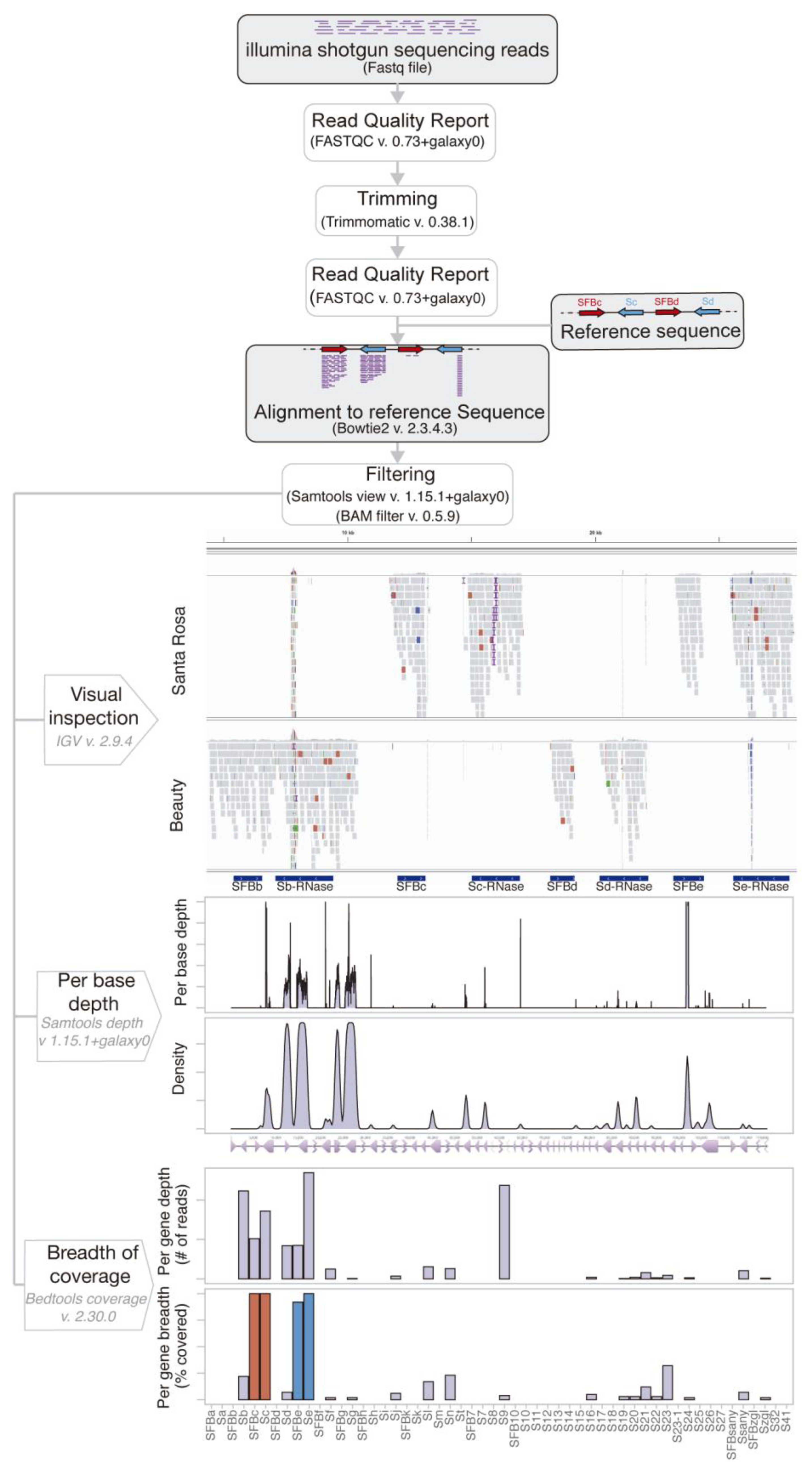 Ijms 24 03932 g002 Ijms 24 03932 g002