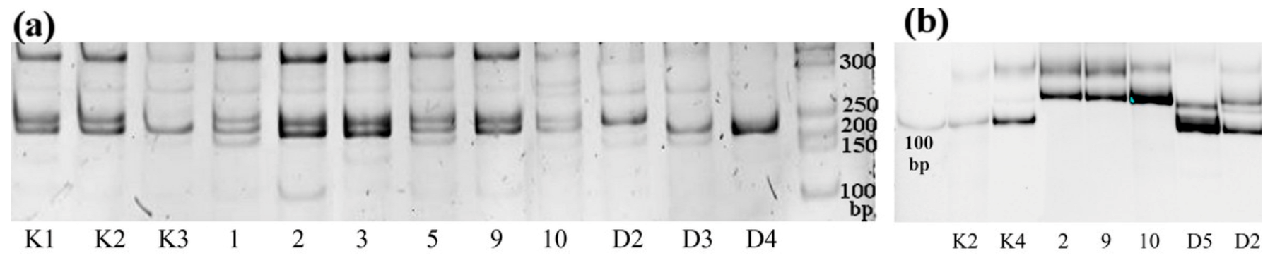 Ijms 24 03939 g002 Ijms 24 03939 g002