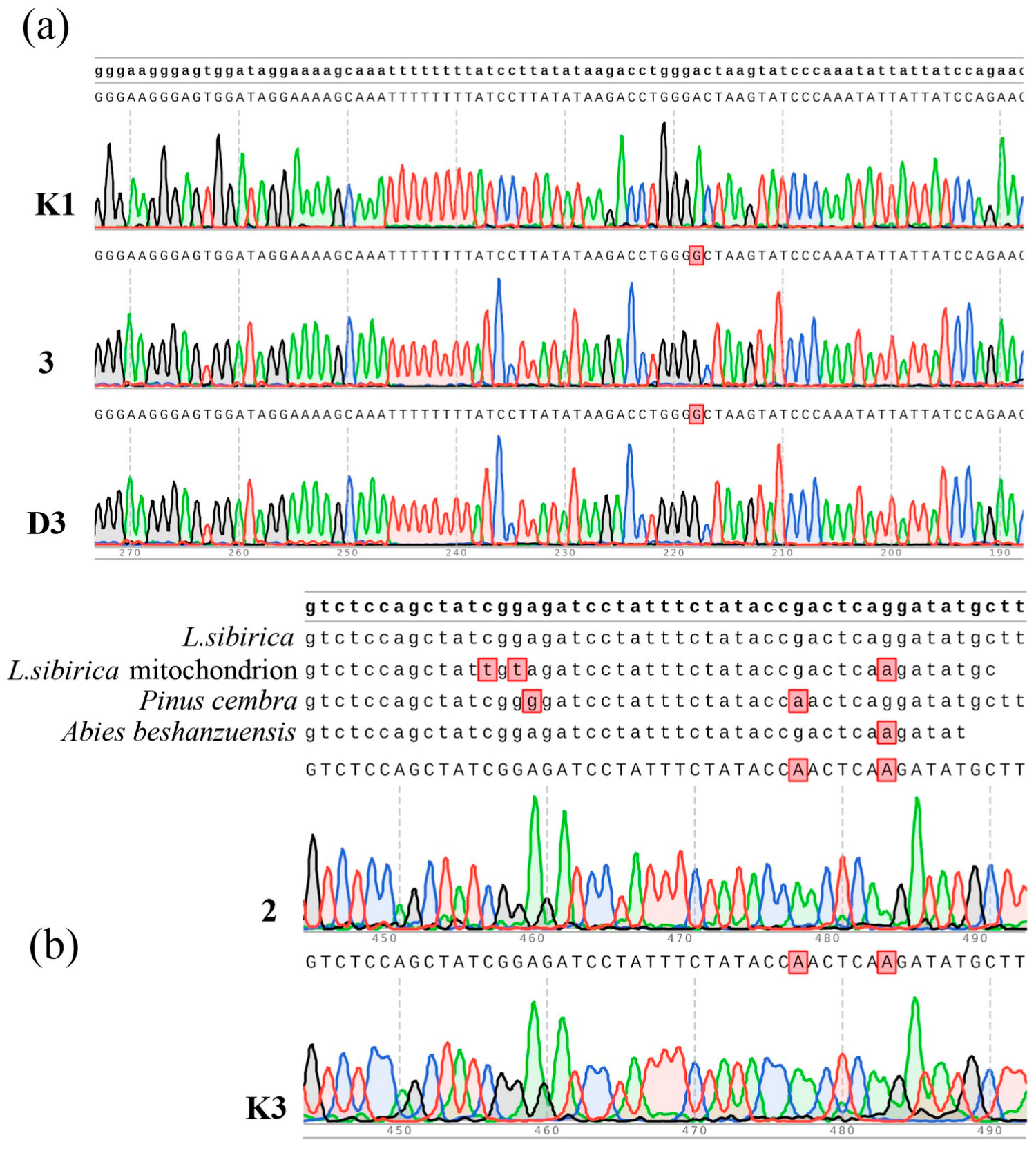Ijms 24 03939 g003 Ijms 24 03939 g003