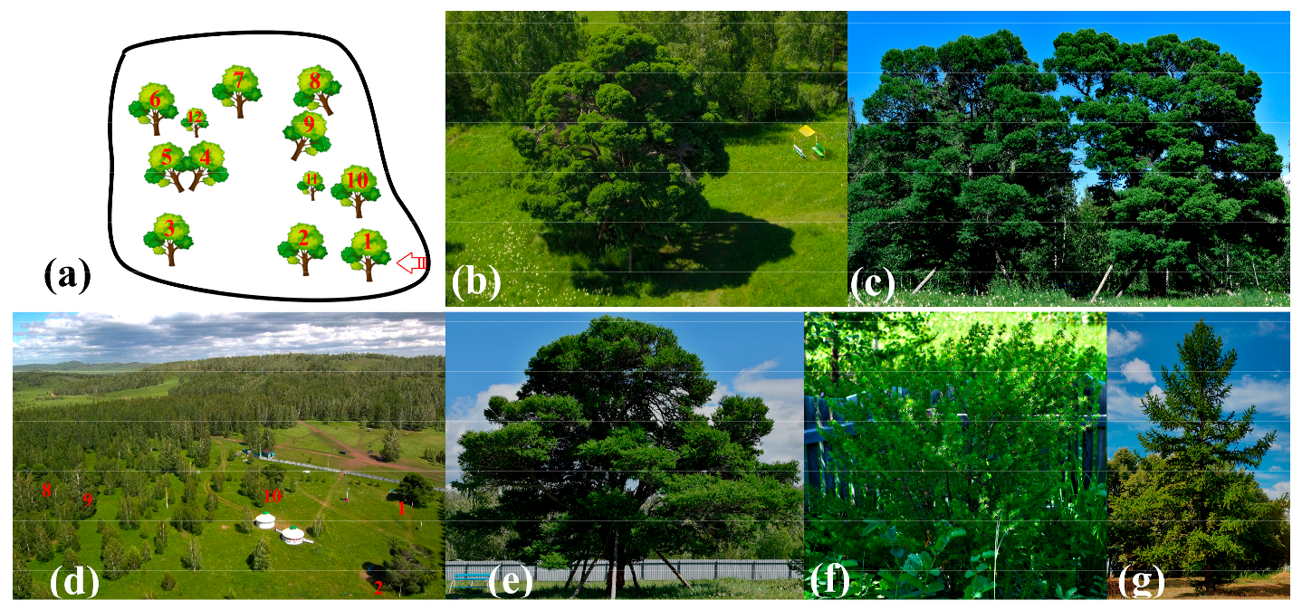 Ijms 24 03939 g004 Ijms 24 03939 g004