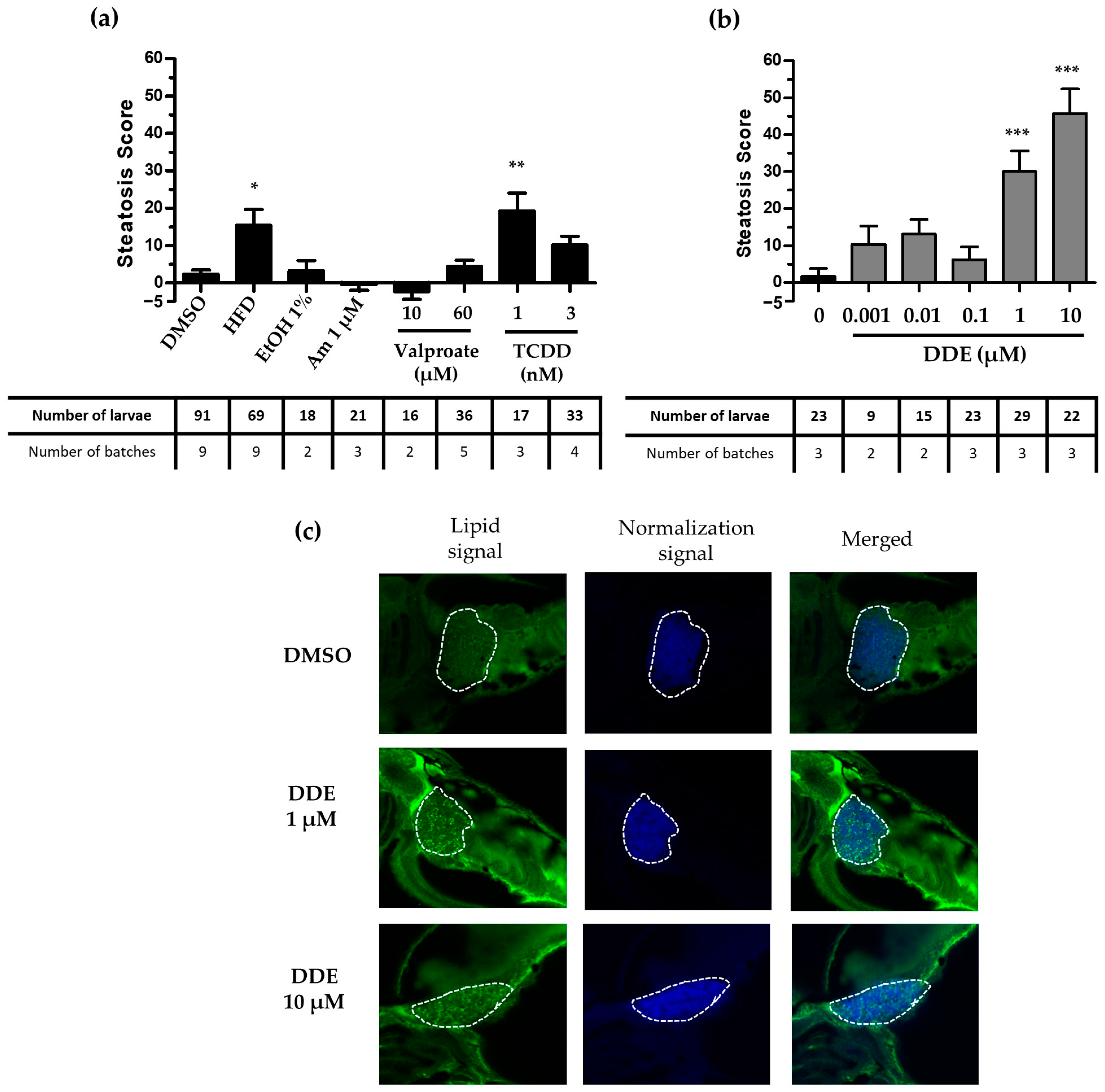 Ijms 24 03942 g004 Ijms 24 03942 g004