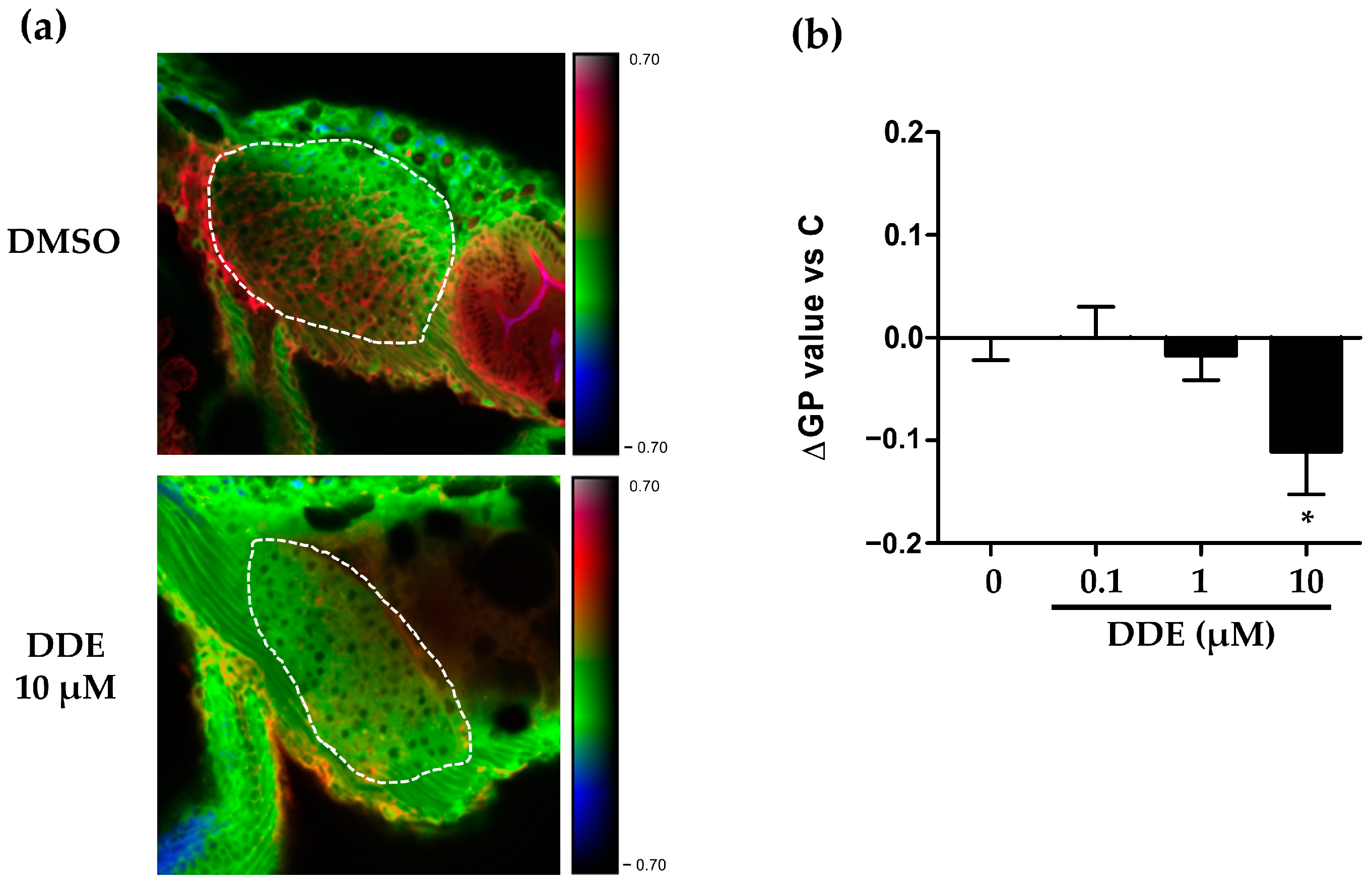 Ijms 24 03942 g008 Ijms 24 03942 g008