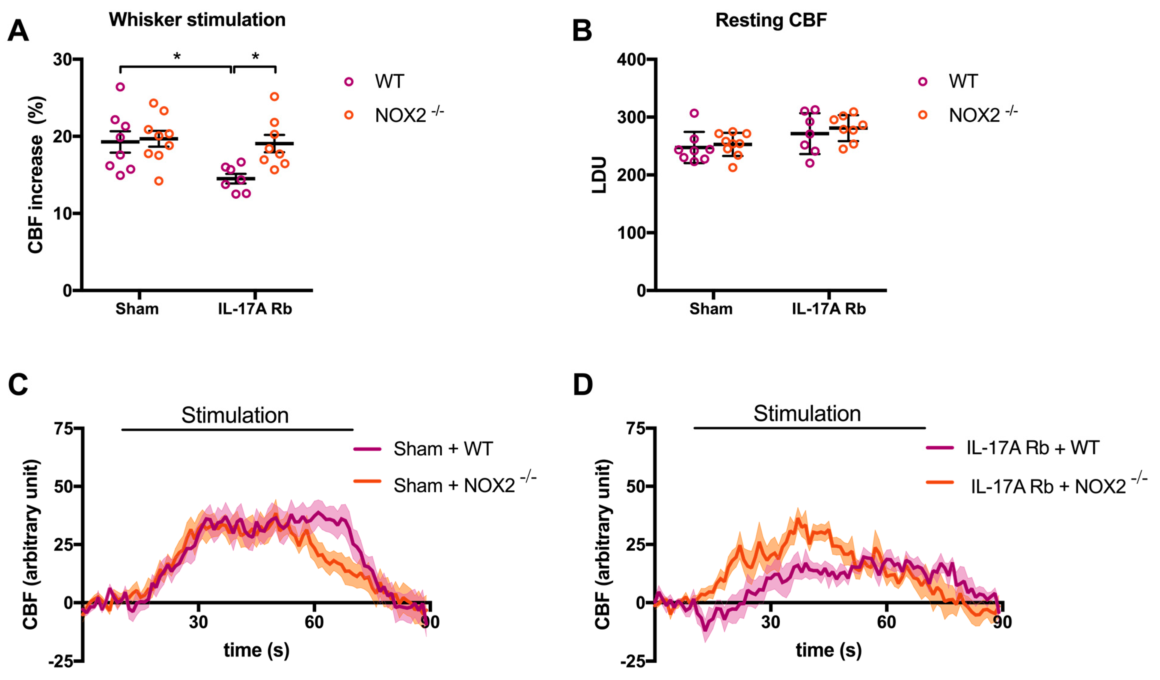 Ijms 24 03959 g008 Ijms 24 03959 g008
