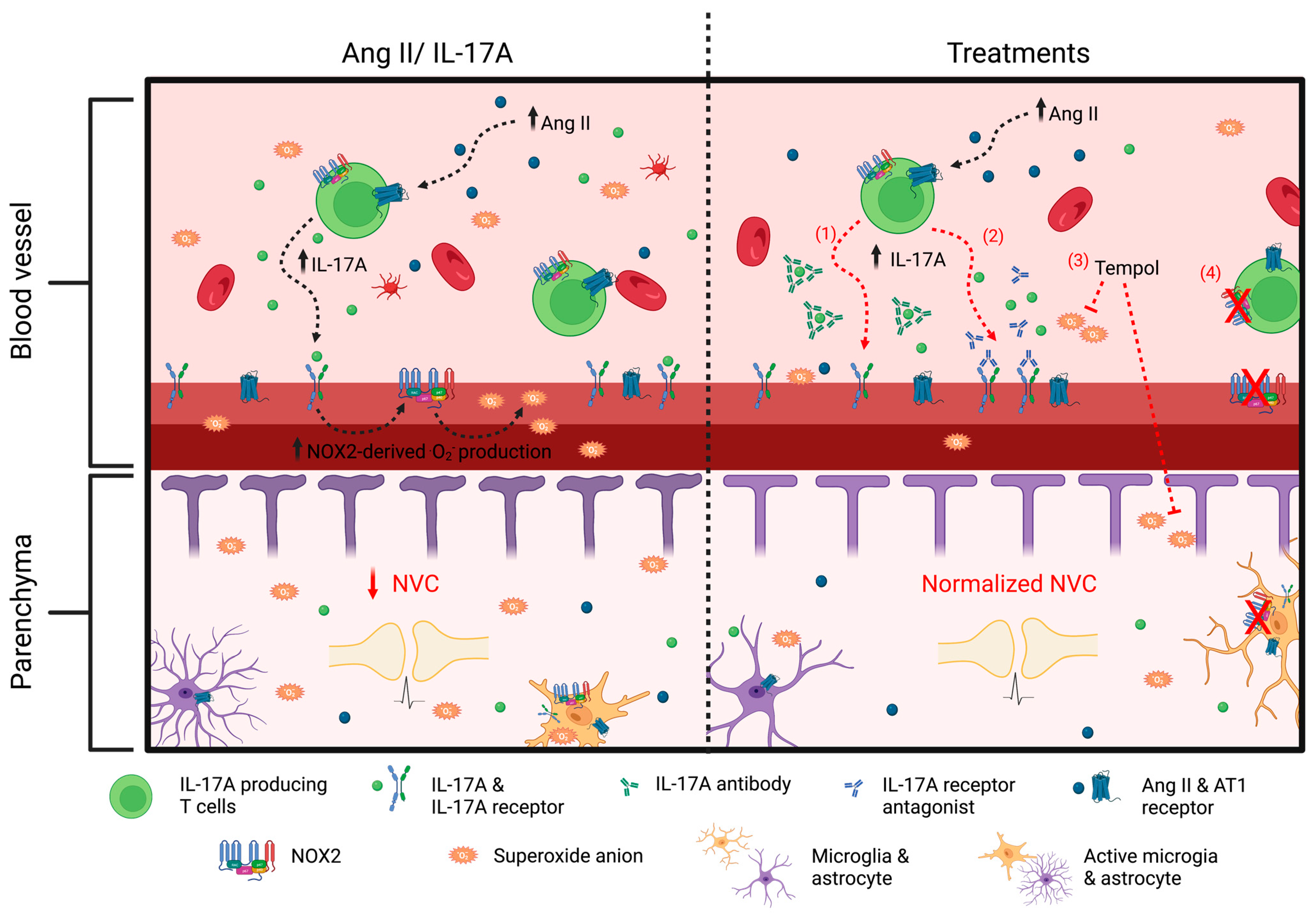 Ijms 24 03959 g009 Ijms 24 03959 g009