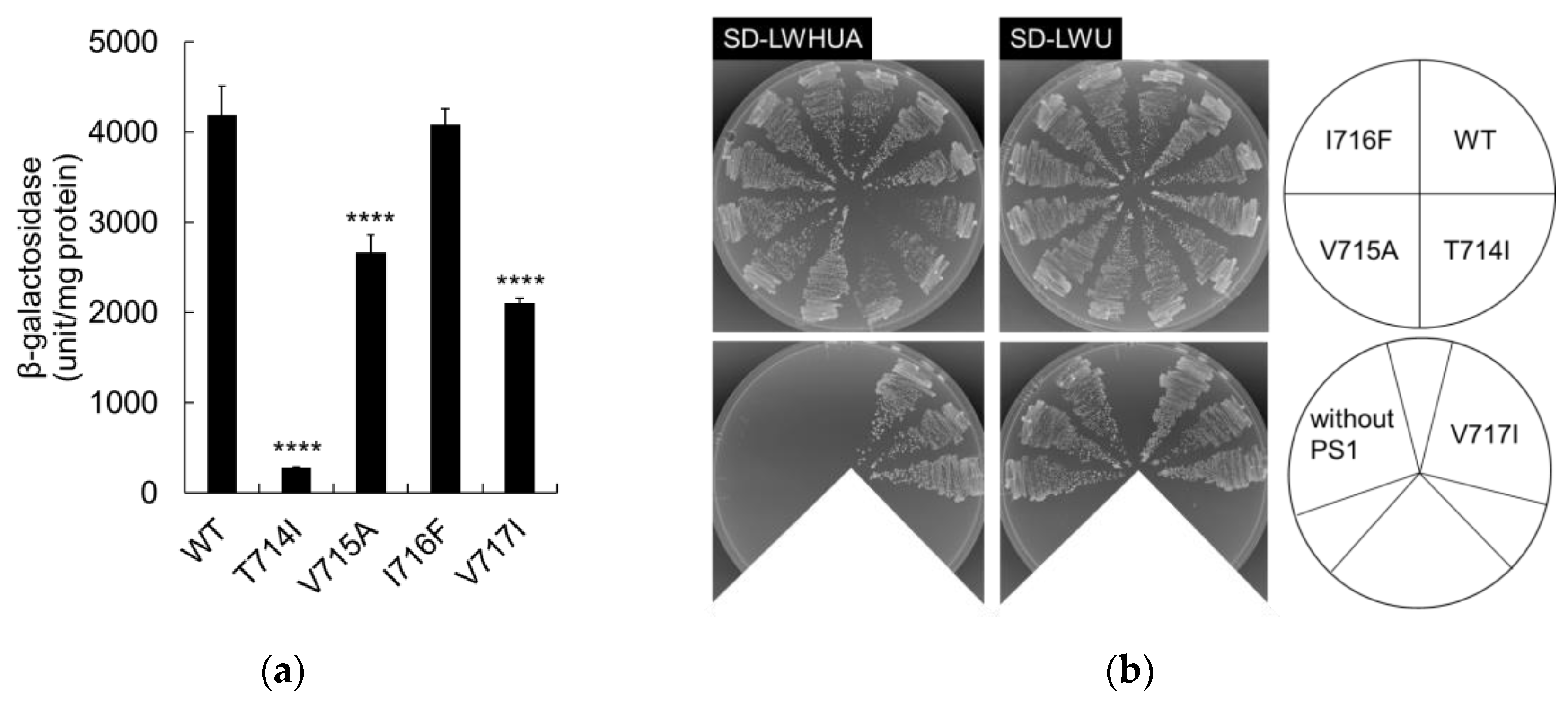 Ijms 24 03970 g002 Ijms 24 03970 g002