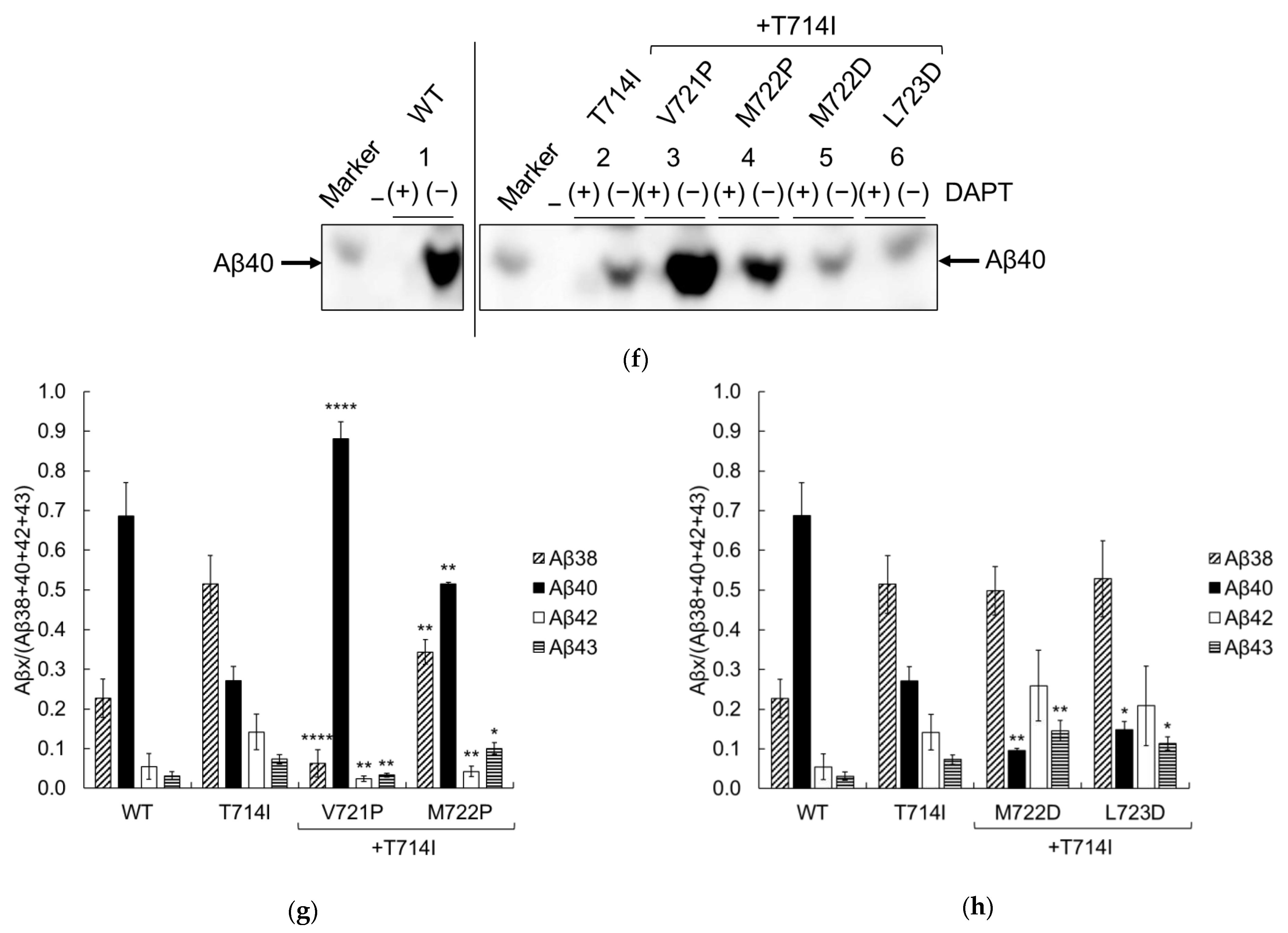 Ijms 24 03970 g007b Ijms 24 03970 g007b