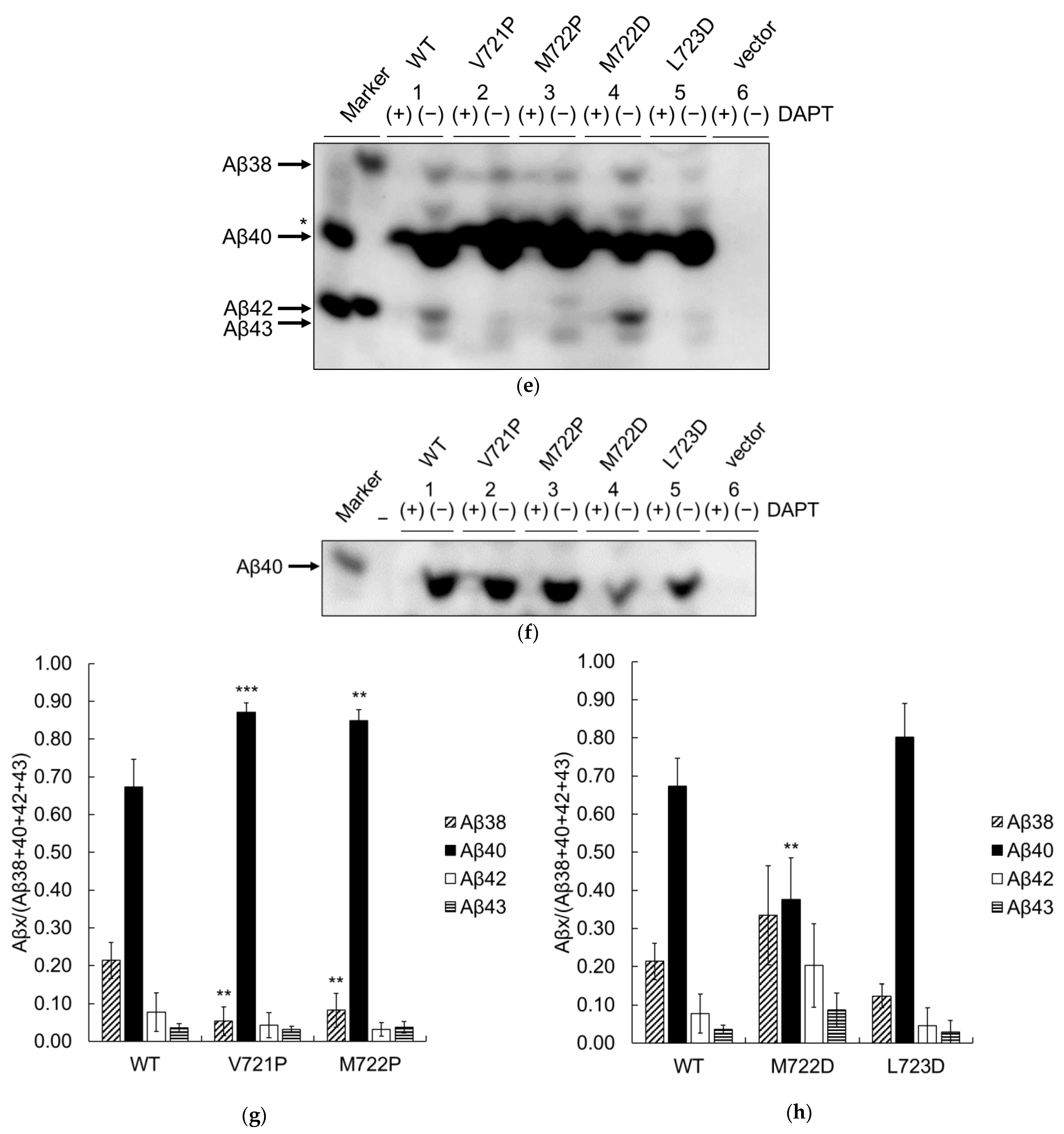 Ijms 24 03970 g008b Ijms 24 03970 g008b