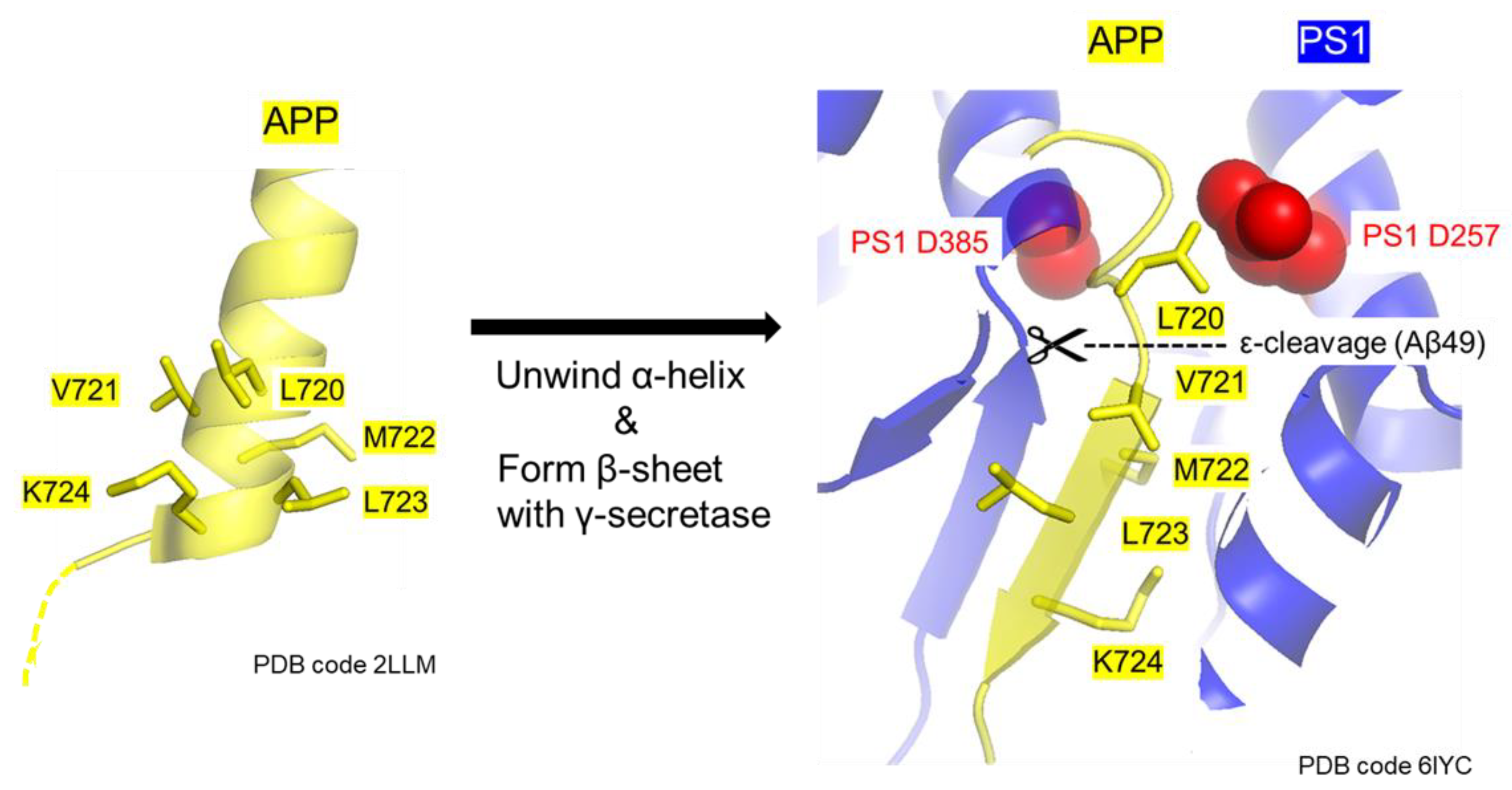 Ijms 24 03970 g009 Ijms 24 03970 g009