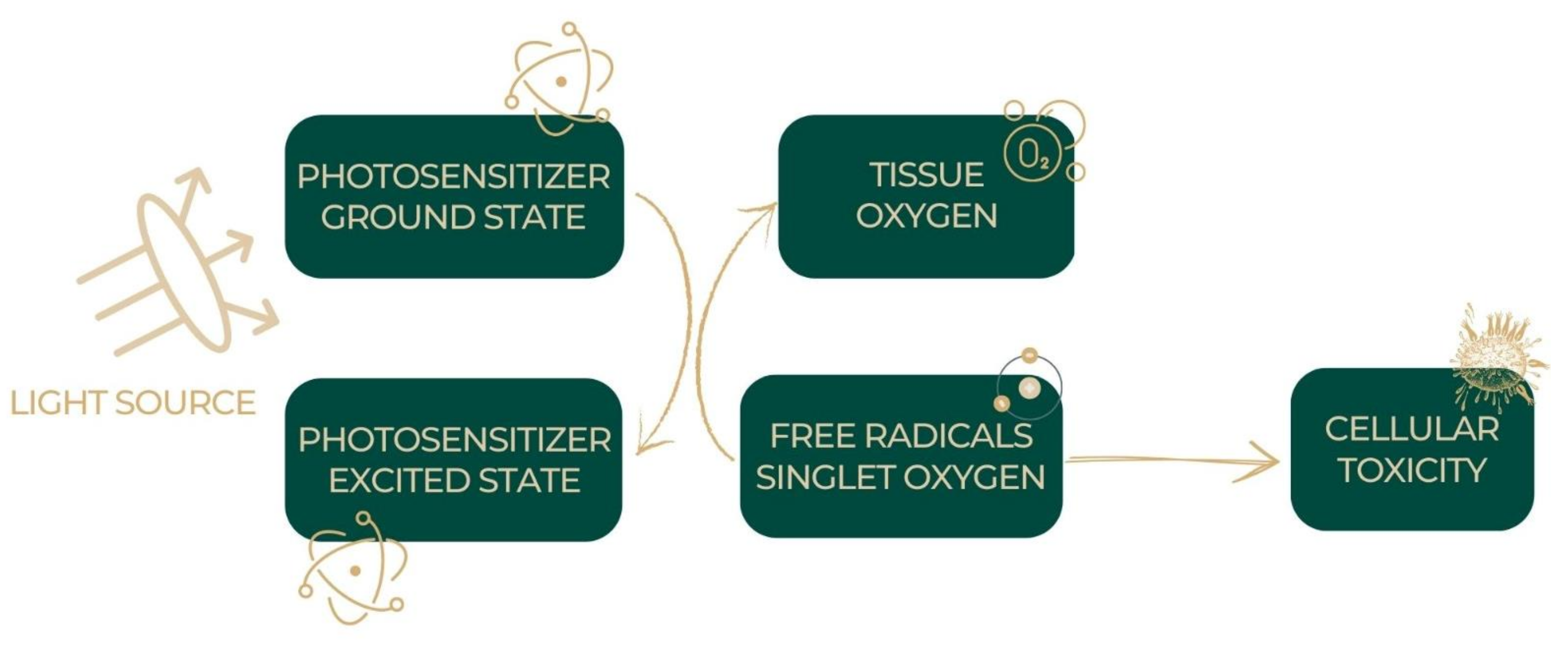 Ijms 24 03985 g002 Ijms 24 03985 g002