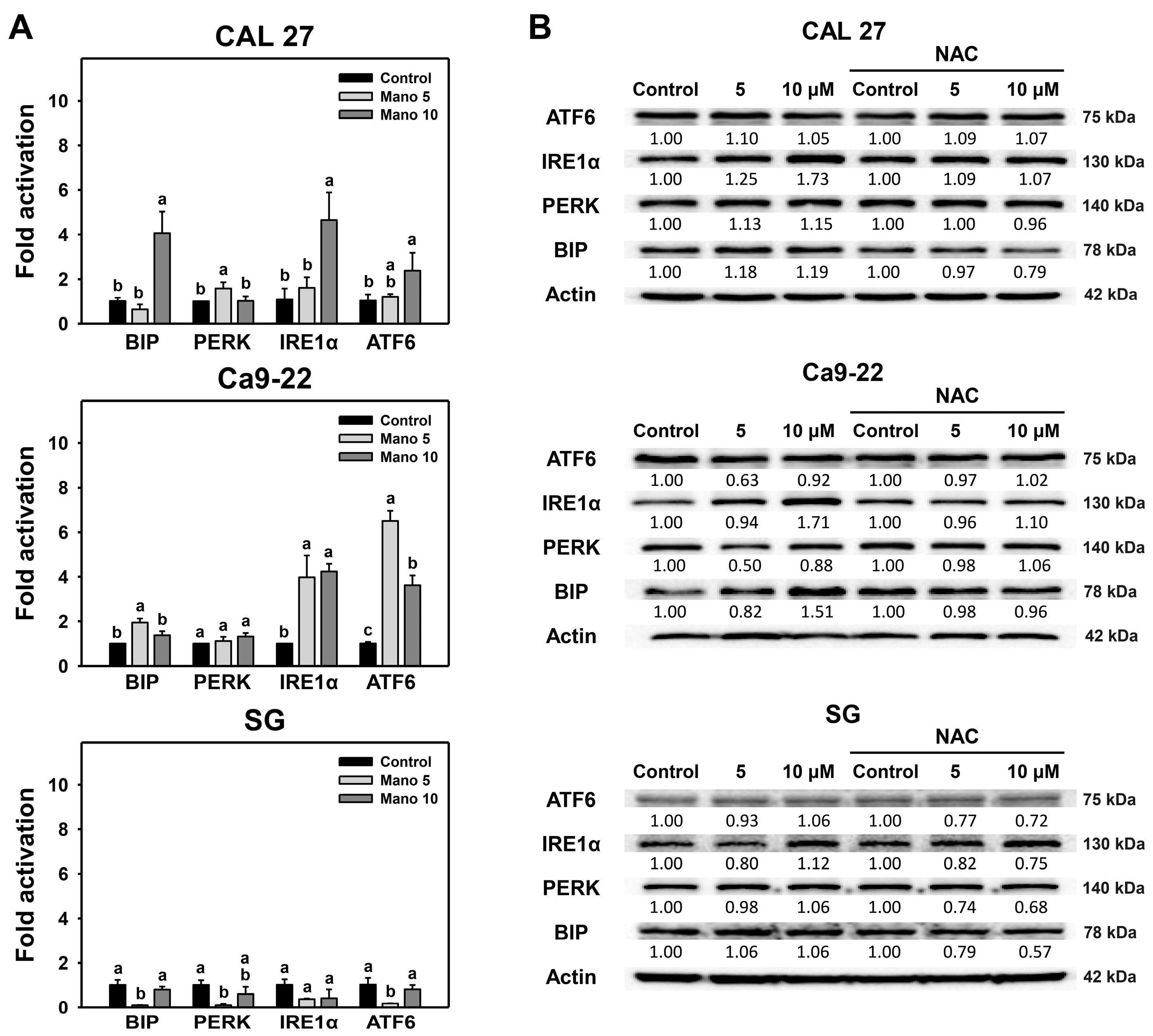 Ijms 24 03987 g003 Ijms 24 03987 g003