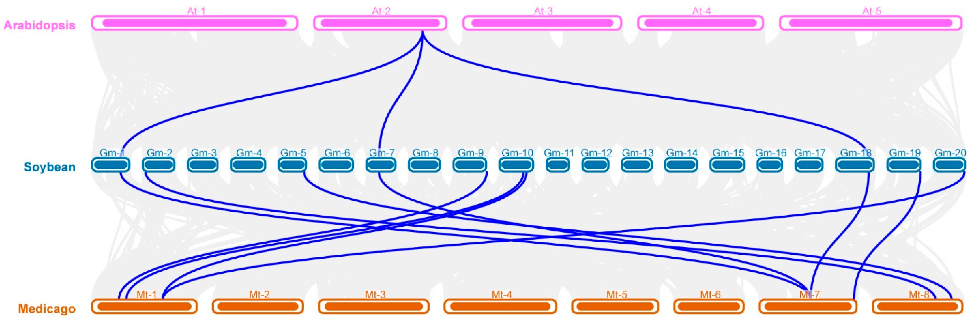 Ijms 24 03991 g003 Ijms 24 03991 g003