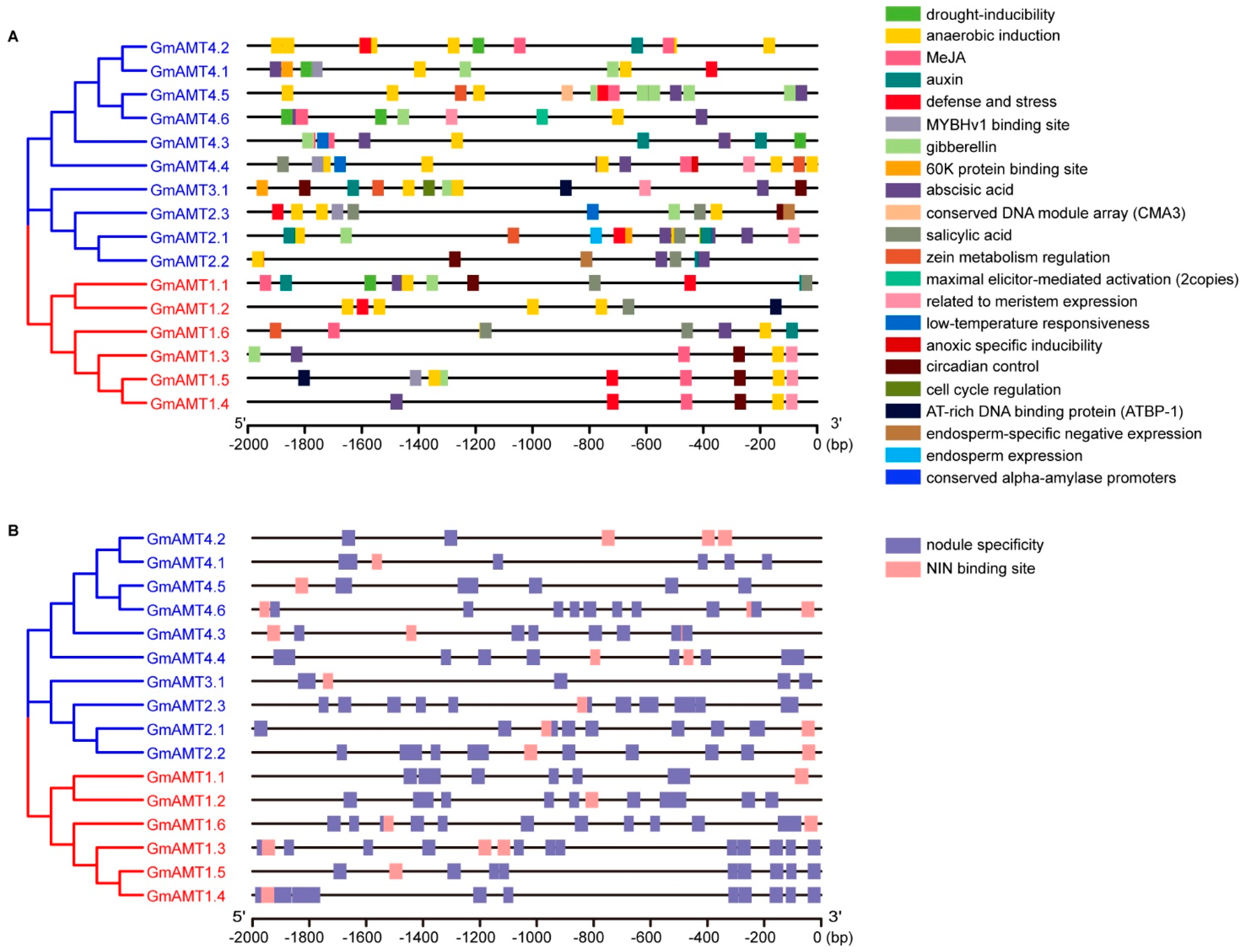 Ijms 24 03991 g005 Ijms 24 03991 g005