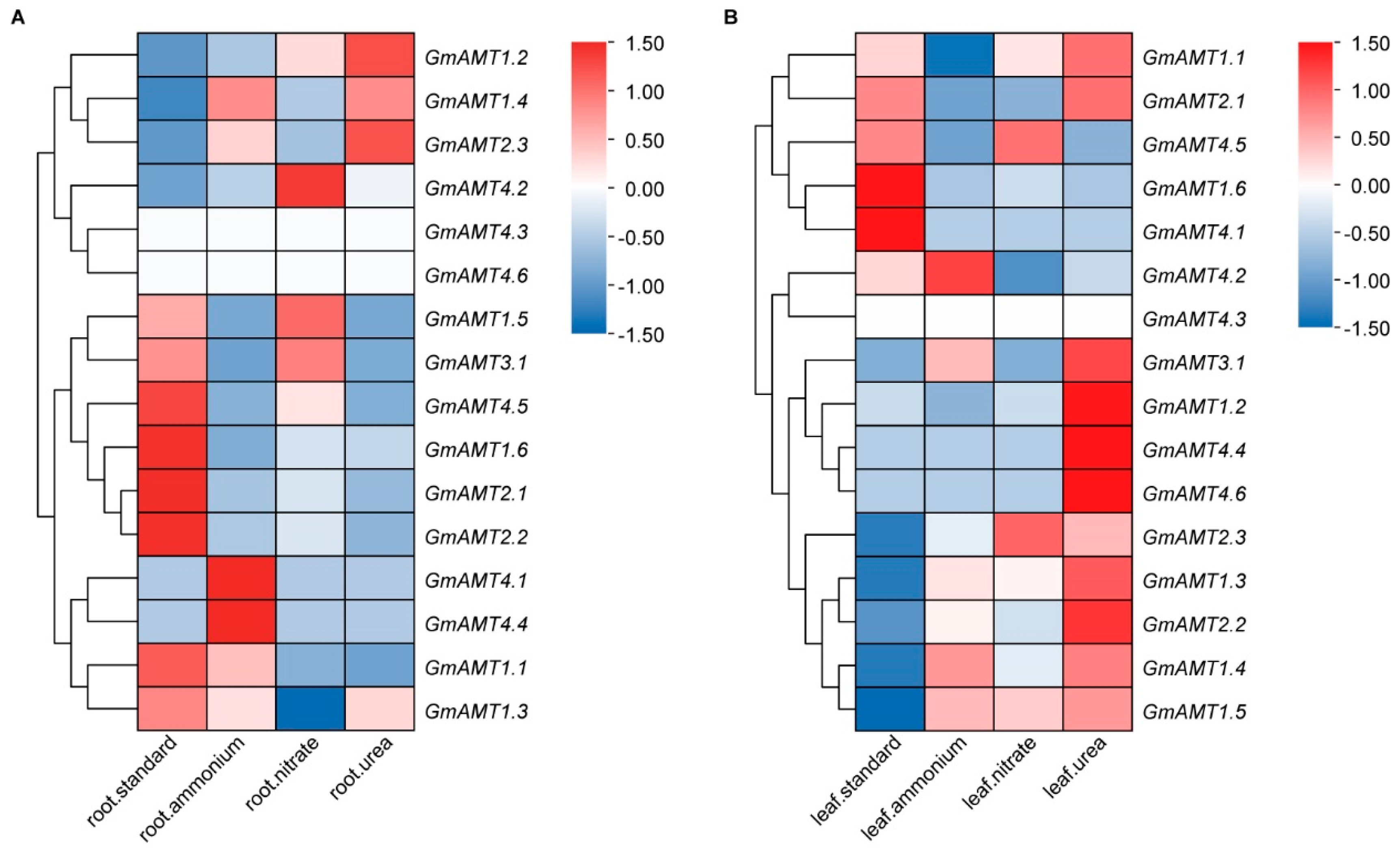 Ijms 24 03991 g008 Ijms 24 03991 g008