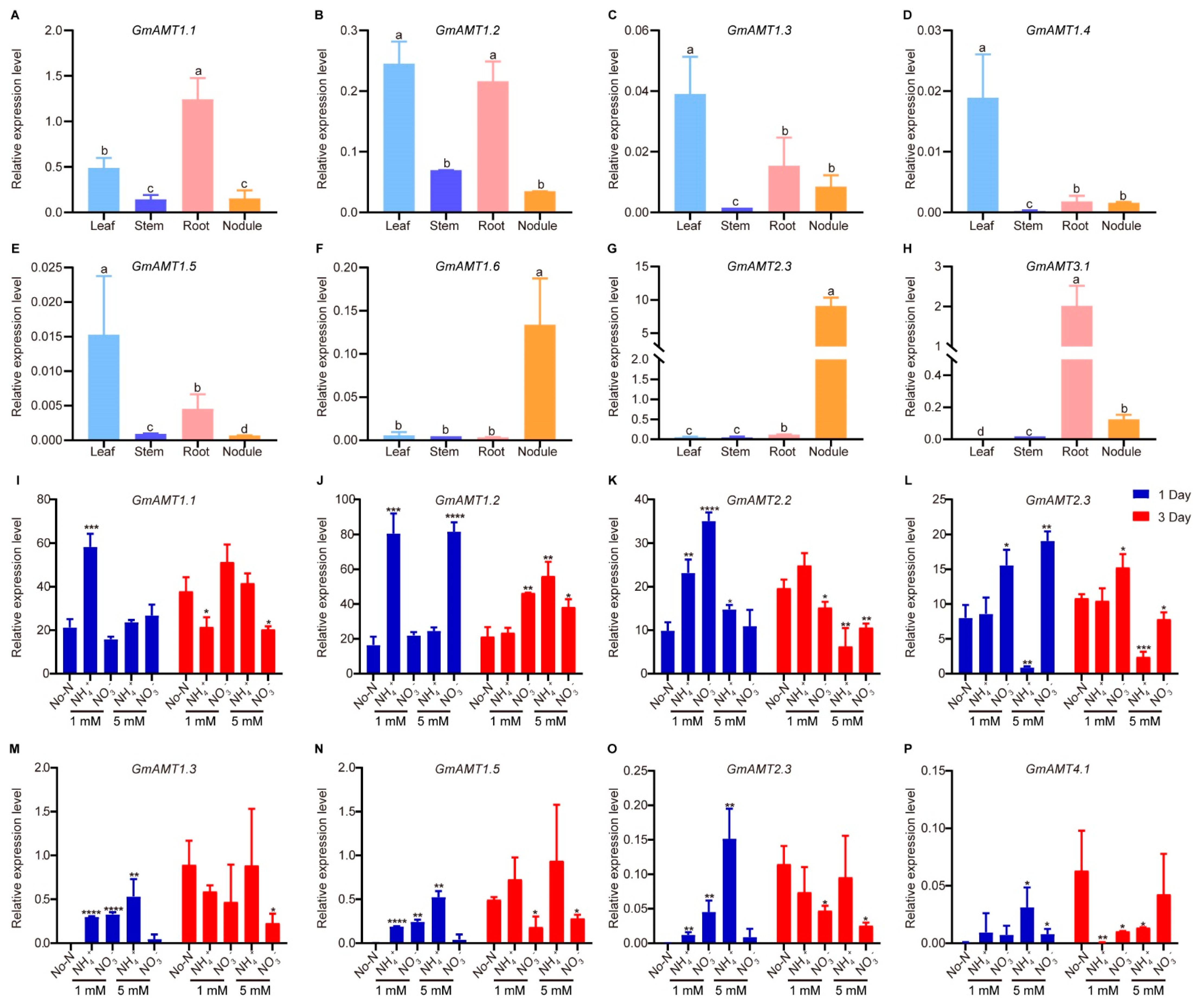 Ijms 24 03991 g009 Ijms 24 03991 g009