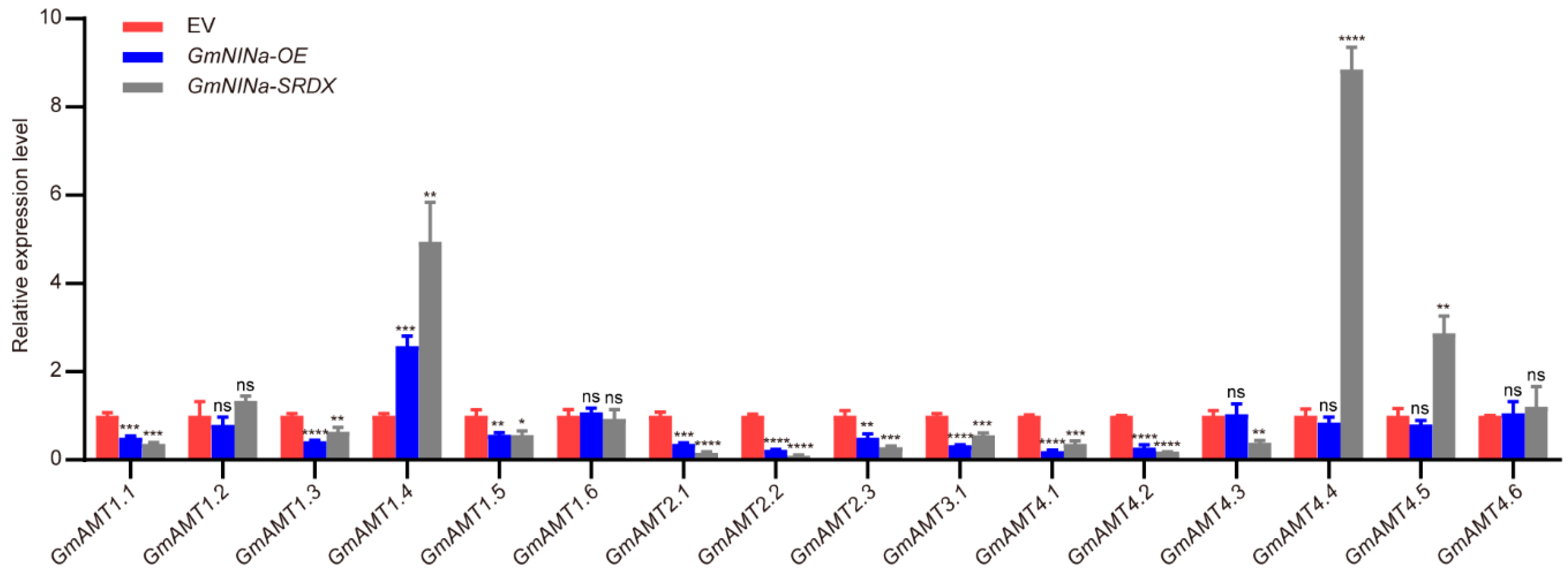 Ijms 24 03991 g011 Ijms 24 03991 g011
