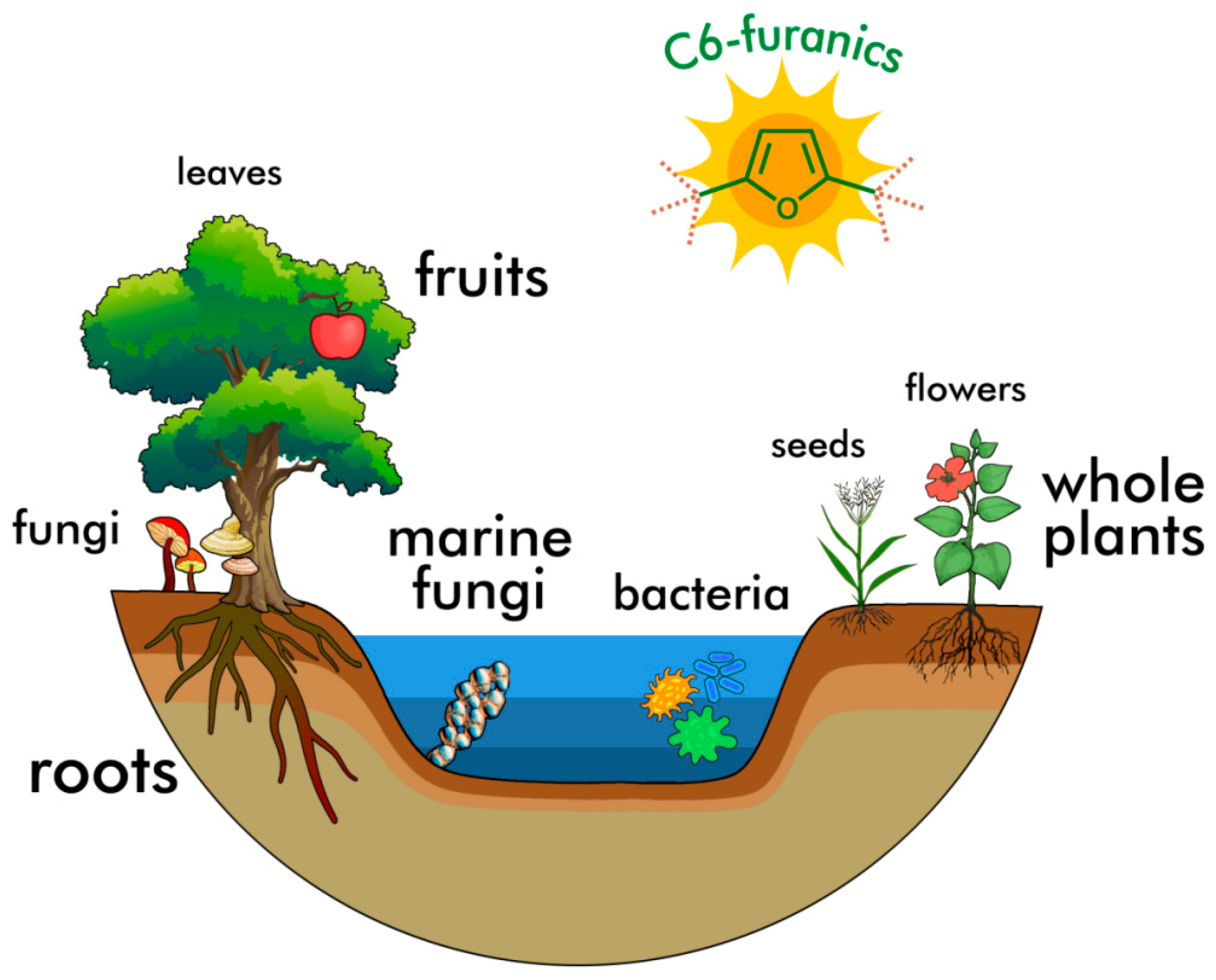 Ijms 24 03997 g002 Ijms 24 03997 g002
