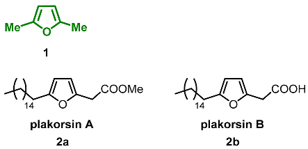 Ijms 24 03997 i001 Ijms 24 03997 i001