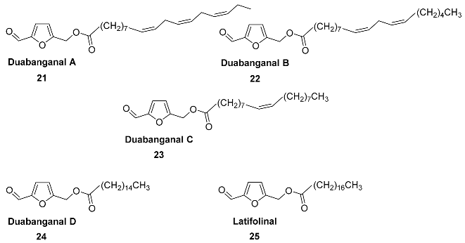 Ijms 24 03997 i016 Ijms 24 03997 i016