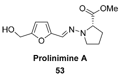 Ijms 24 03997 i034 Ijms 24 03997 i034