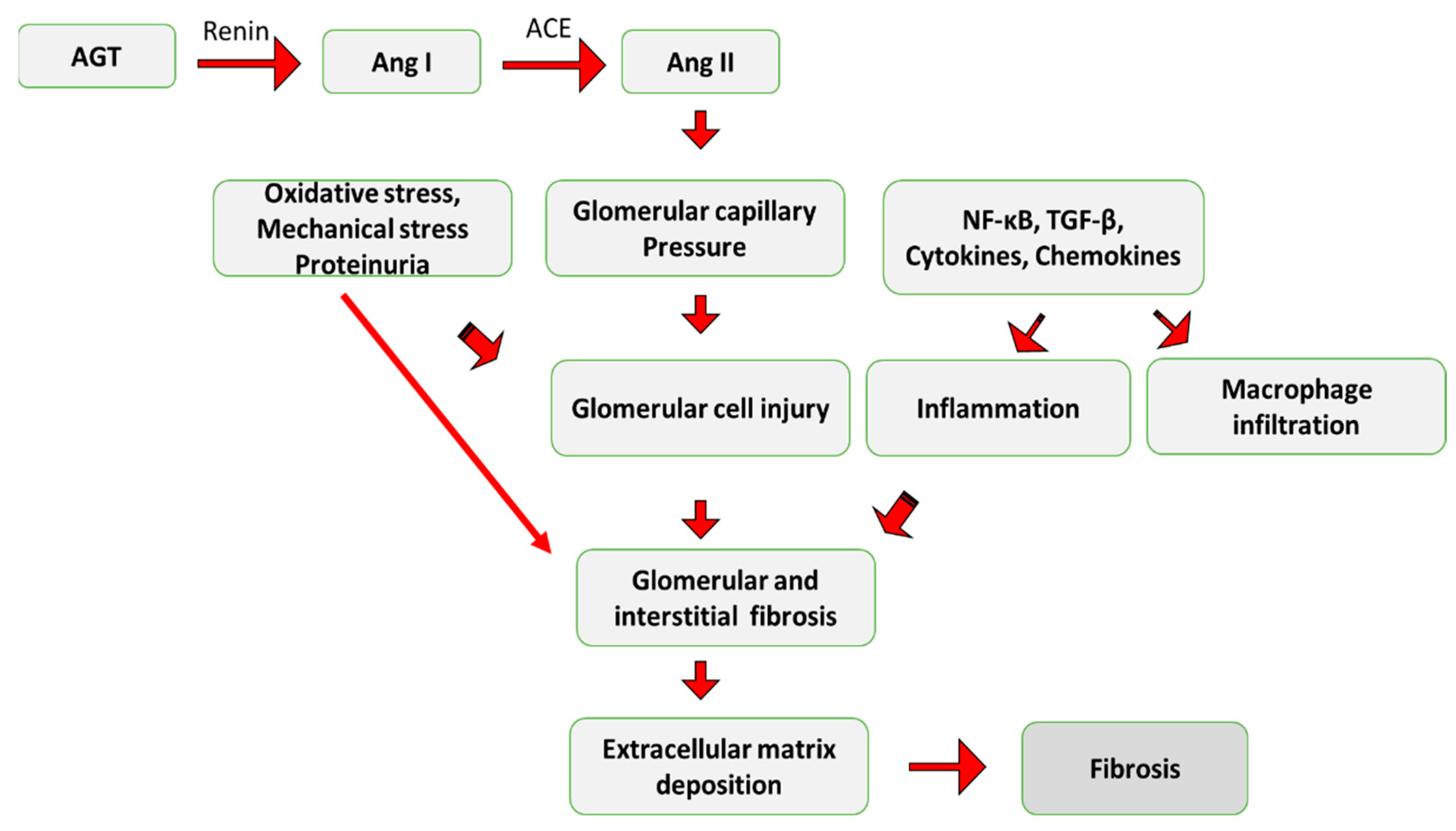 Ijms 24 04004 g006 Ijms 24 04004 g006