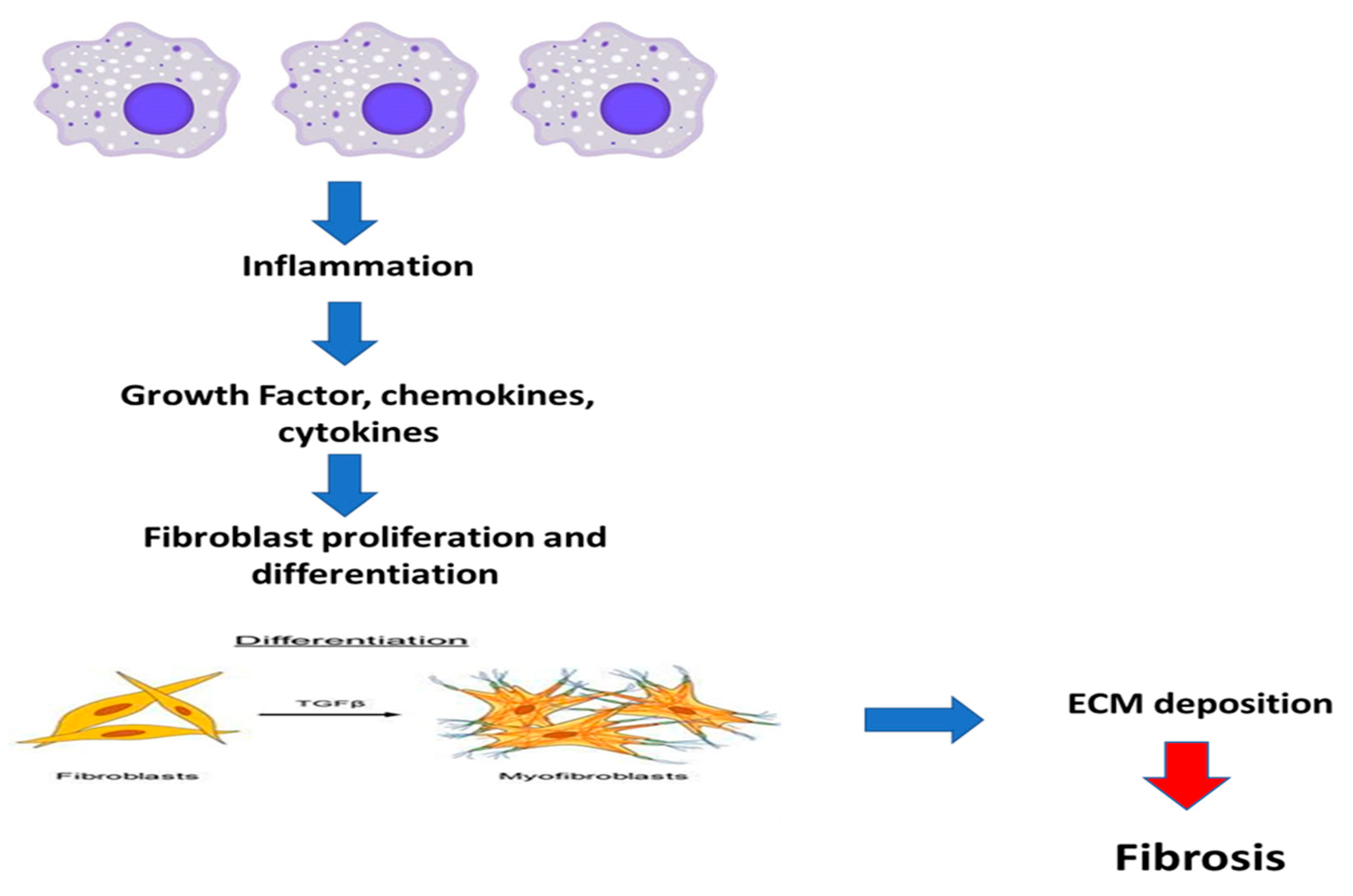 Ijms 24 04004 g008 Ijms 24 04004 g008