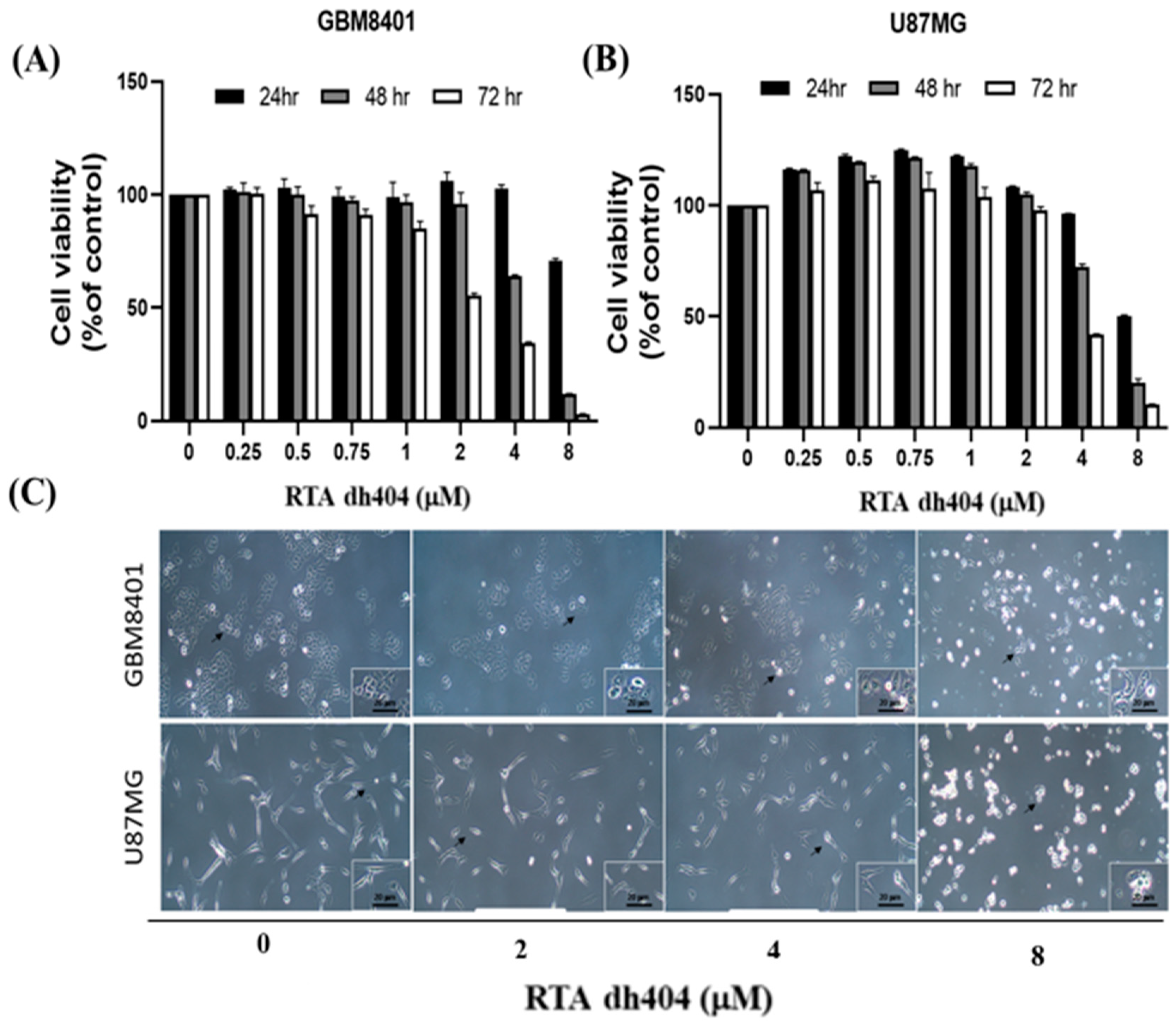 Ijms 24 04006 g002a Ijms 24 04006 g002a