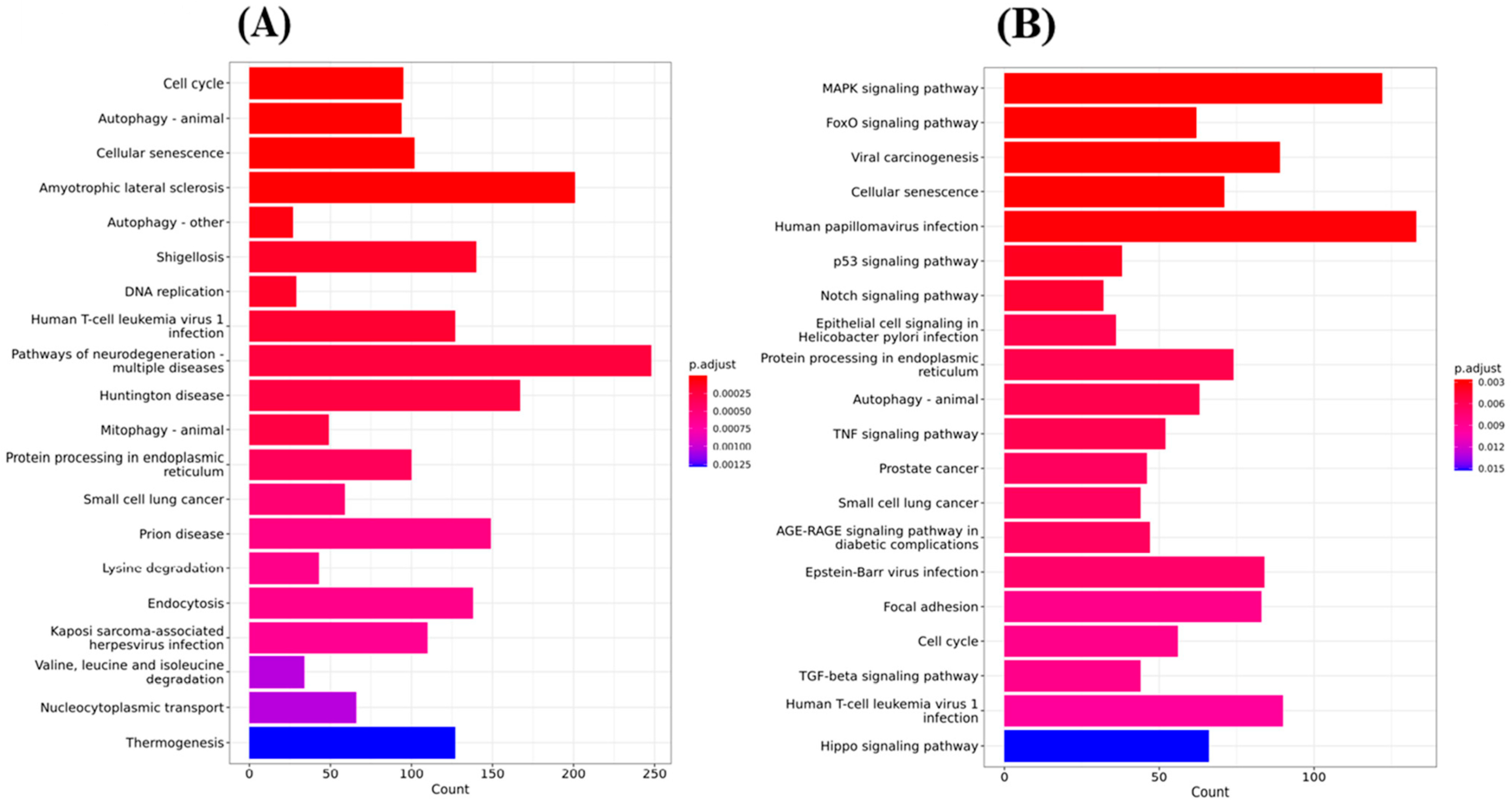 Ijms 24 04006 g007 Ijms 24 04006 g007