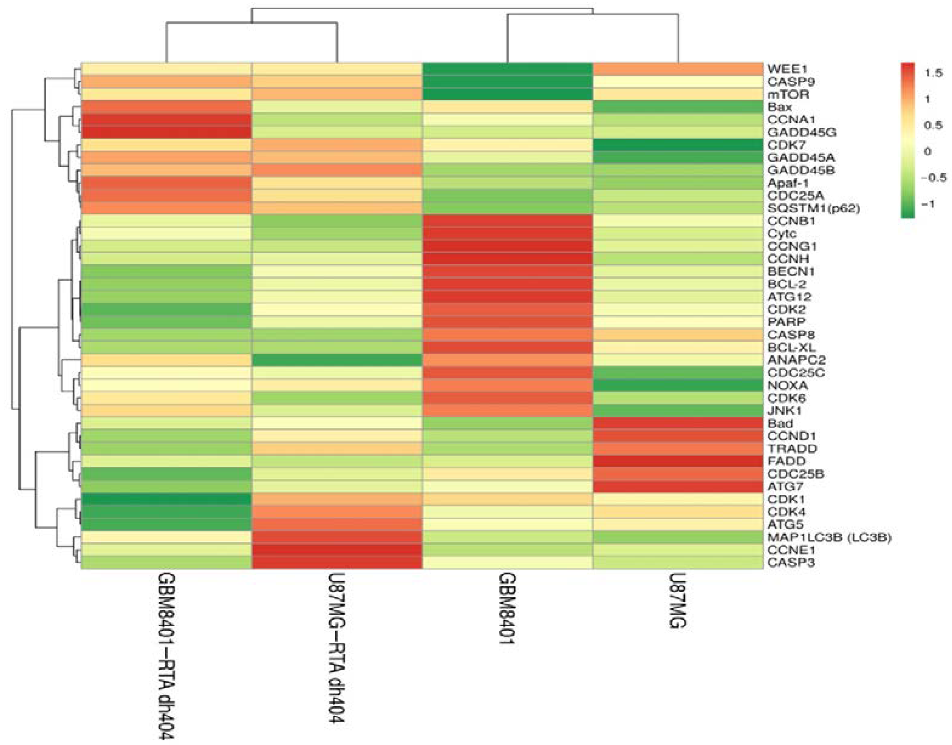 Ijms 24 04006 g008 Ijms 24 04006 g008