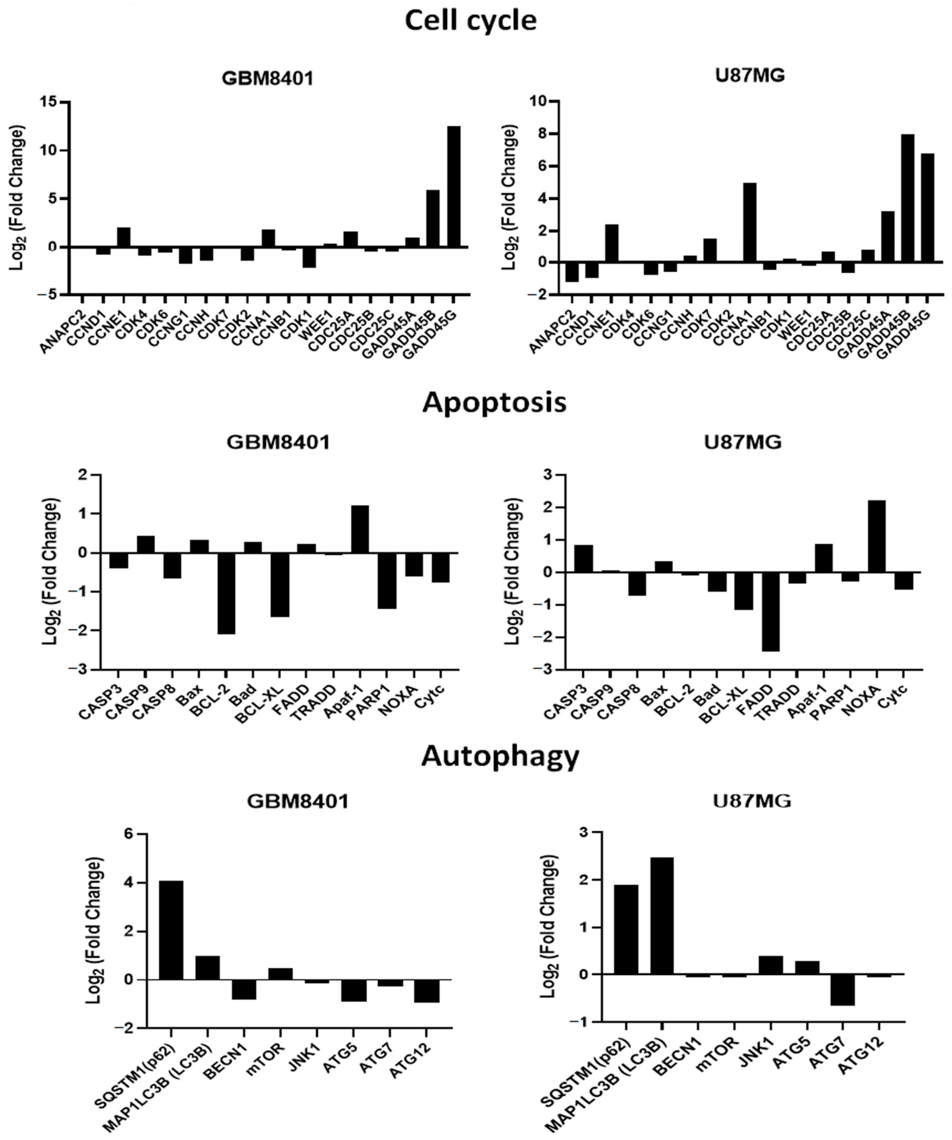 Ijms 24 04006 g009 Ijms 24 04006 g009