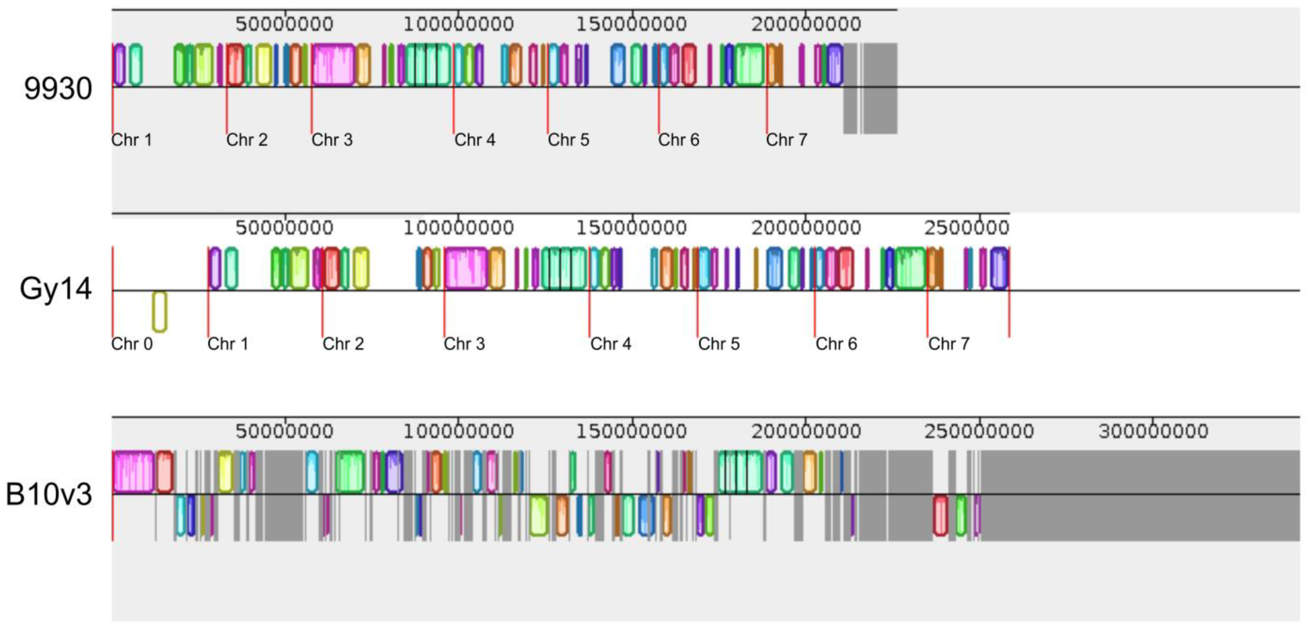 Ijms 24 04011 g002 Ijms 24 04011 g002