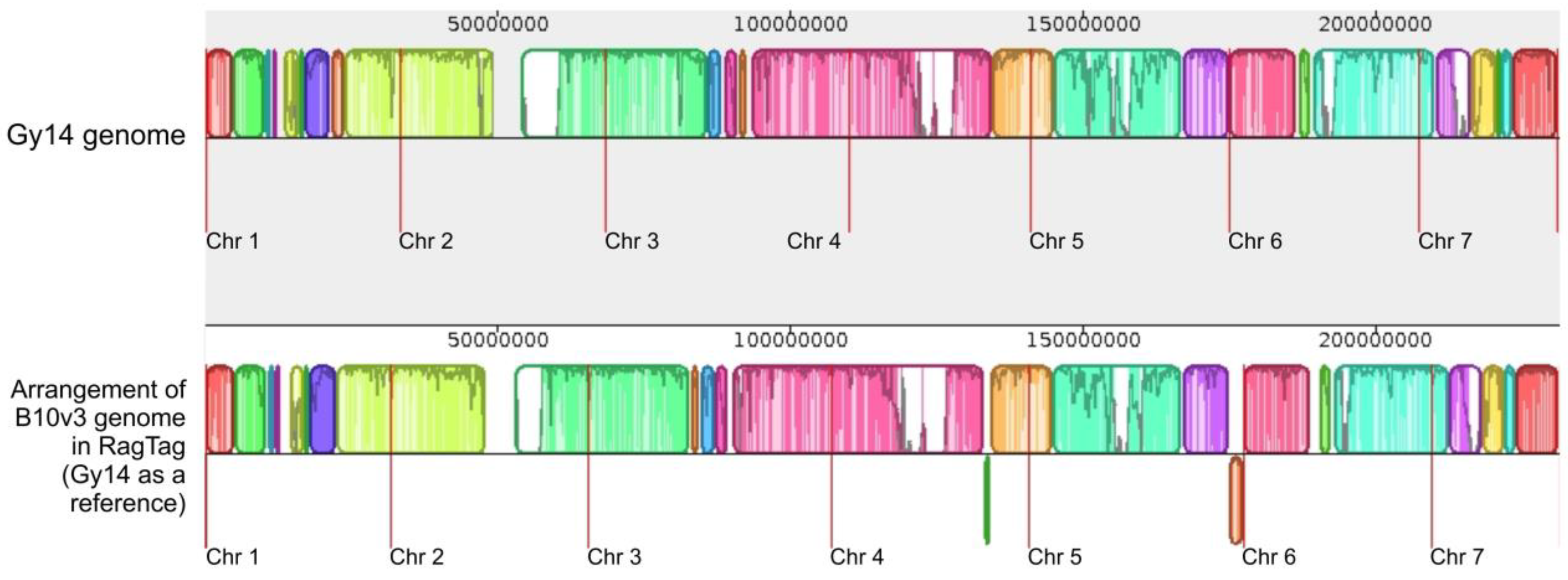 Ijms 24 04011 g005 Ijms 24 04011 g005