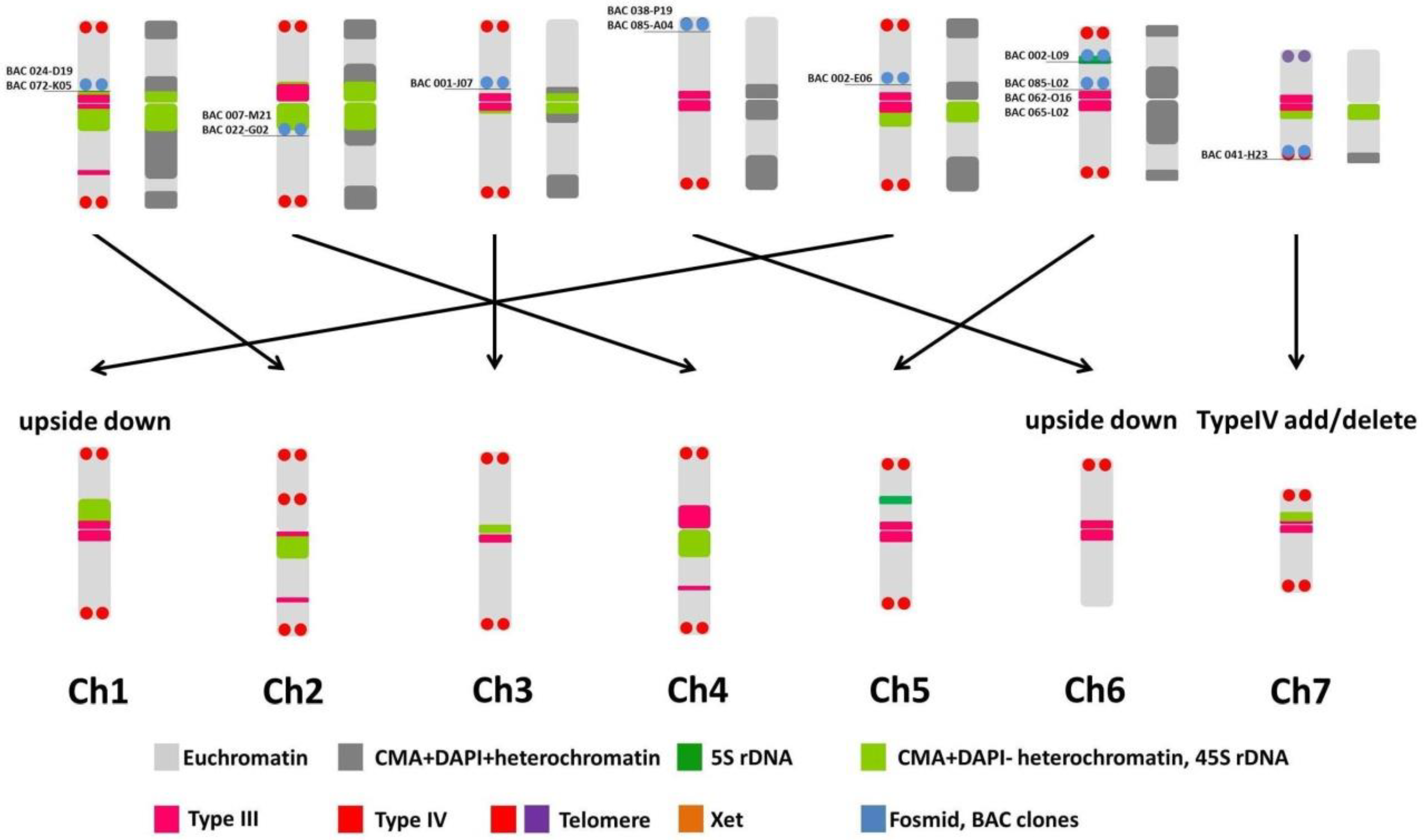Ijms 24 04011 g006 Ijms 24 04011 g006