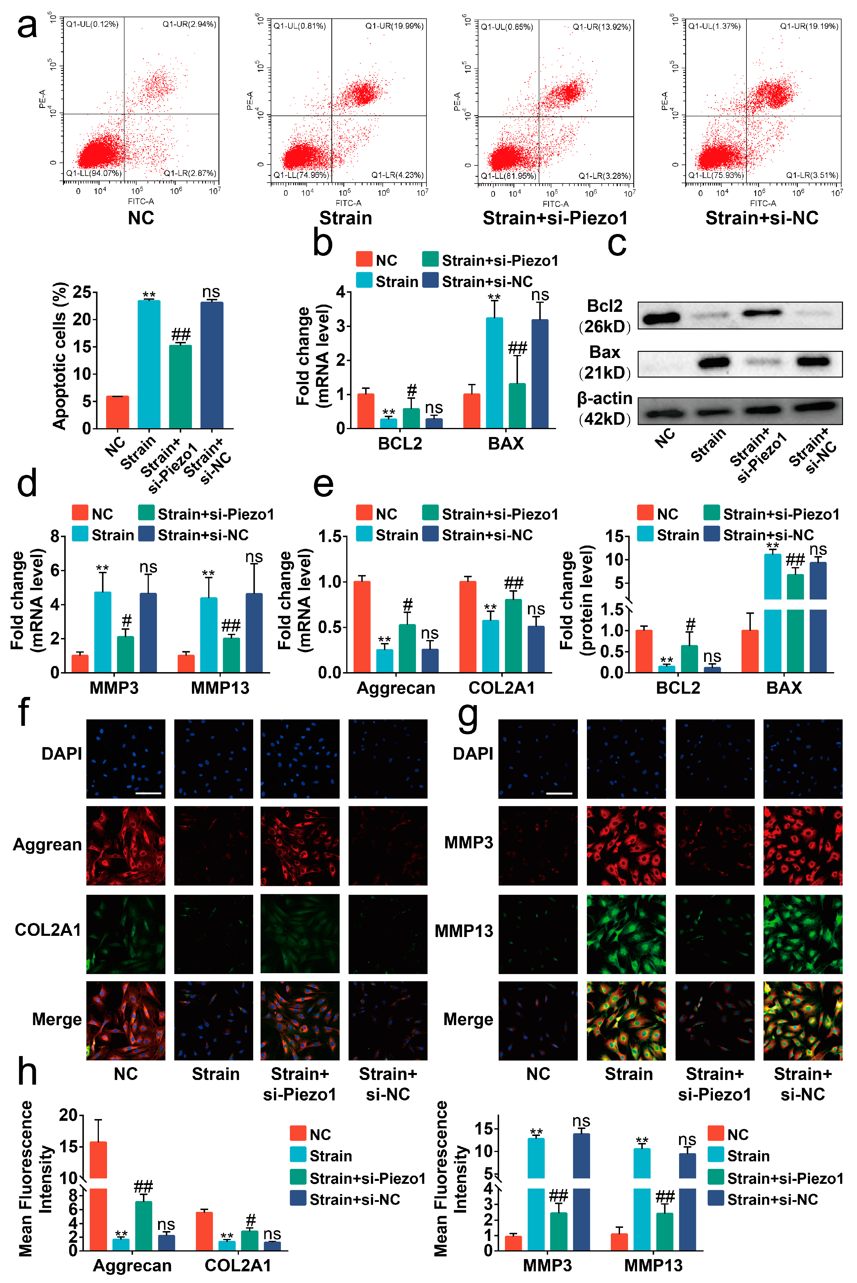 Ijms 24 04022 g002 Ijms 24 04022 g002