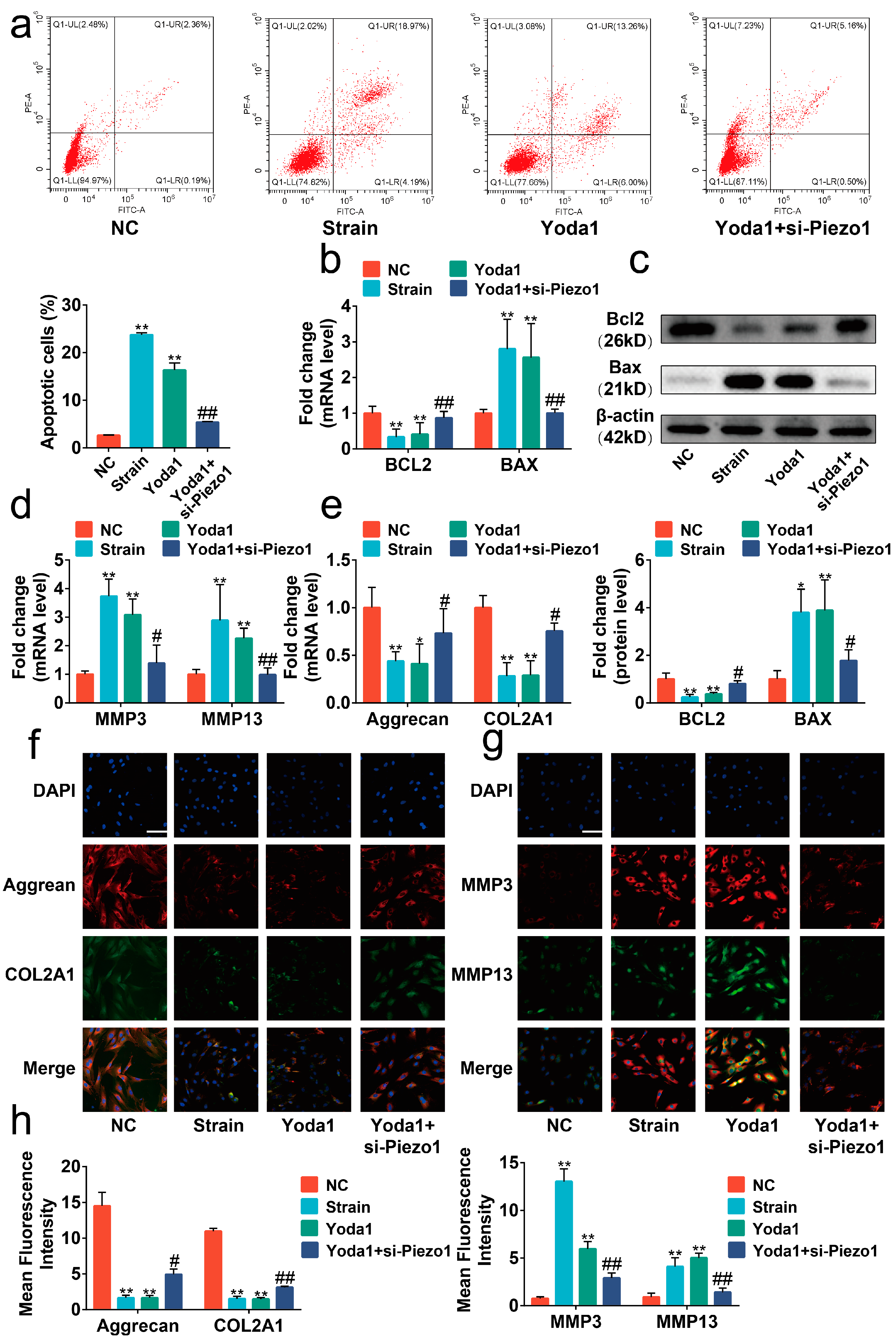 Ijms 24 04022 g003 Ijms 24 04022 g003