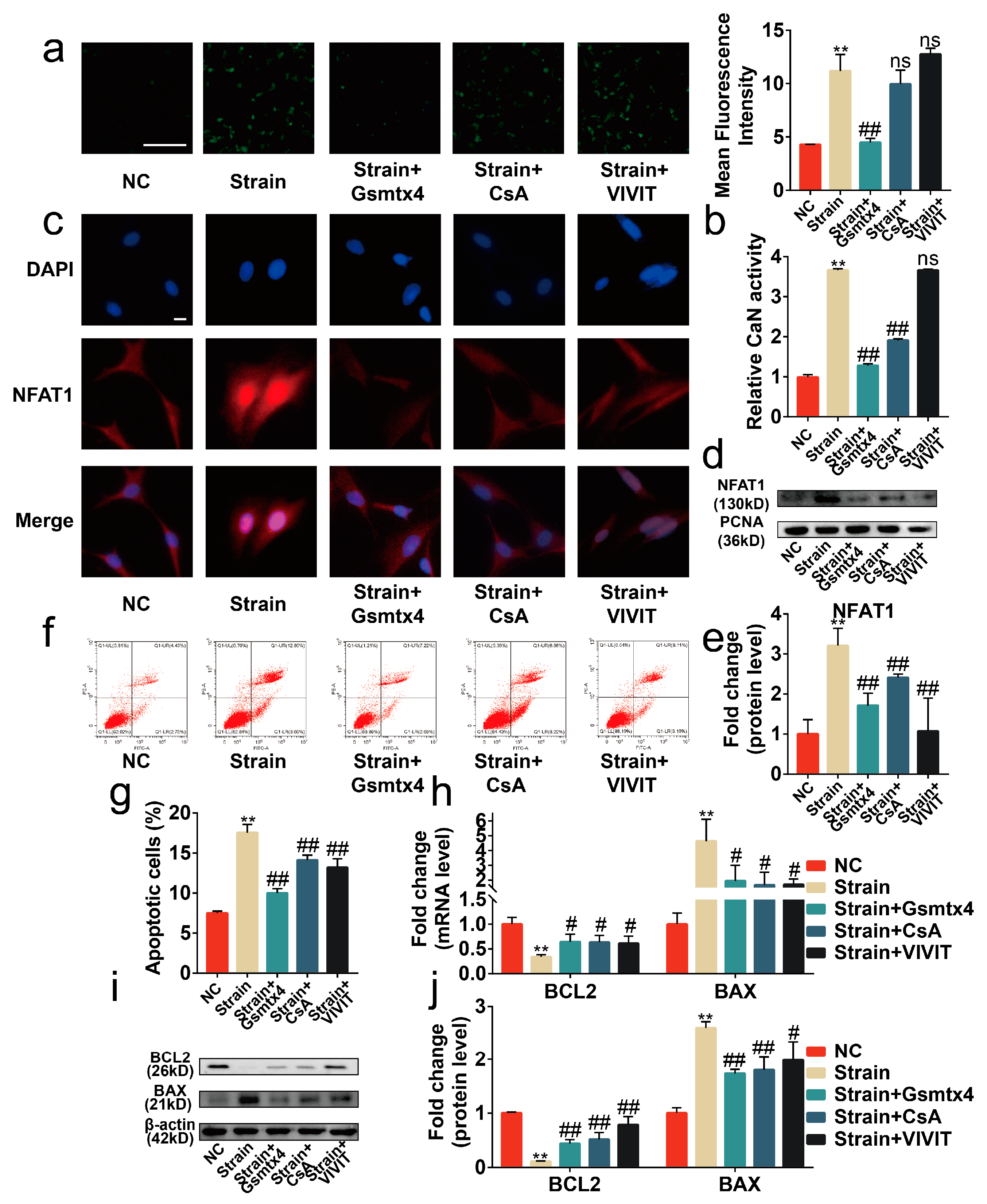 Ijms 24 04022 g005 Ijms 24 04022 g005